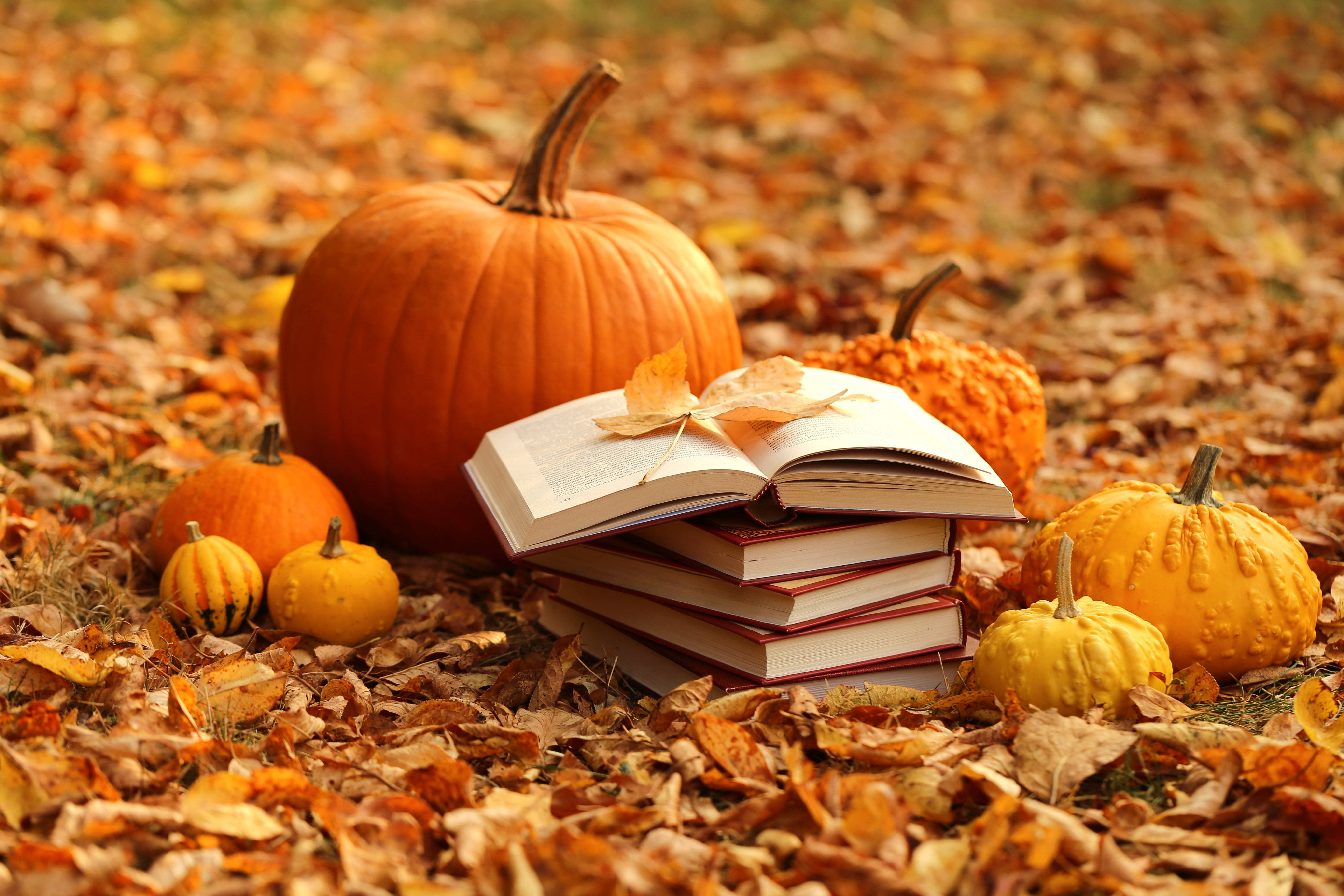 autumn leaves, pumpkins, warm golden light, 5K Desktop Wallpaper