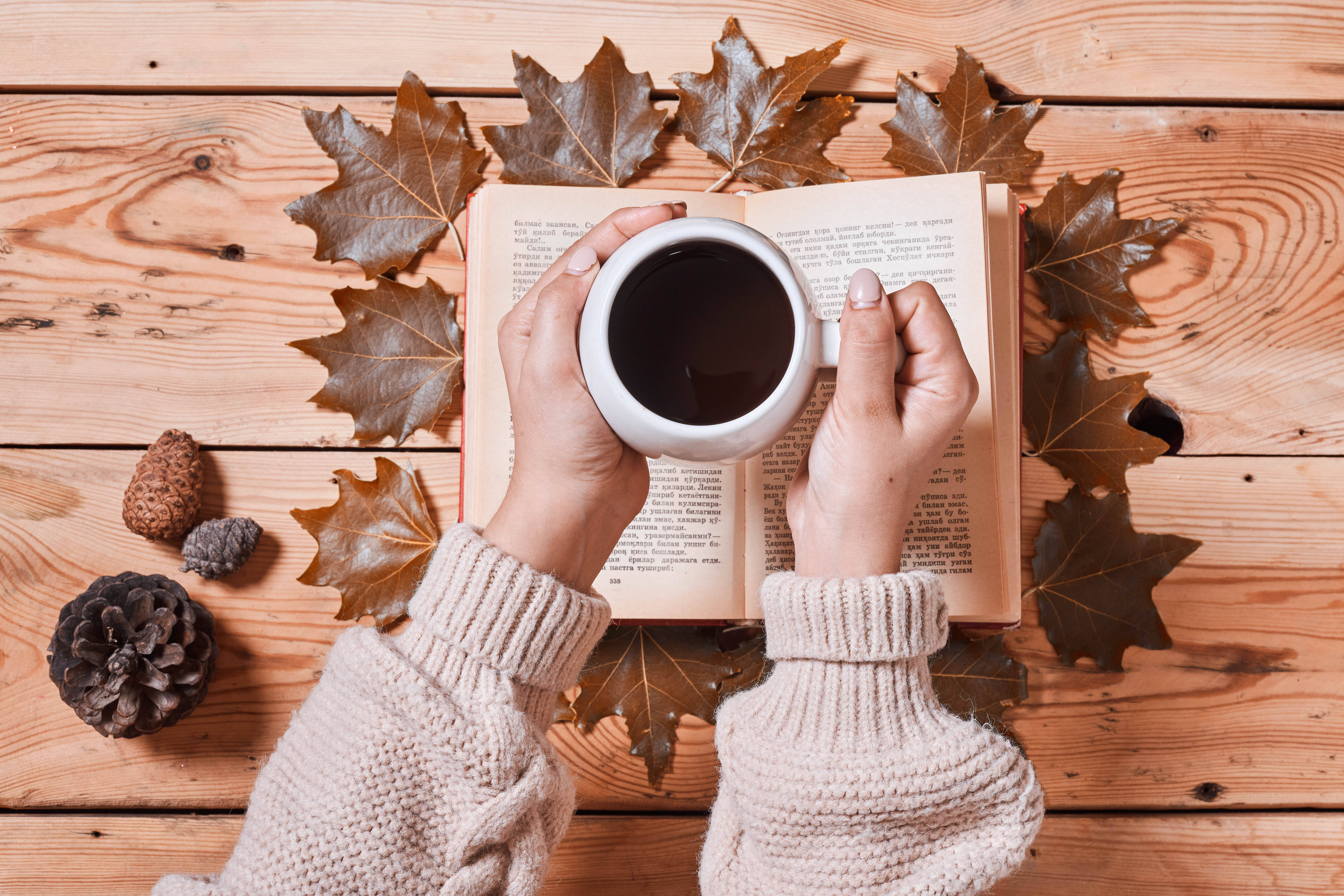 cozy sweater, mug, open book, 5K Desktop Wallpaper