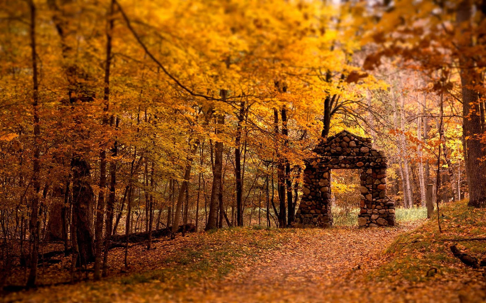 stone archway, forest, golden autumn light, HD Desktop Wallpaper
