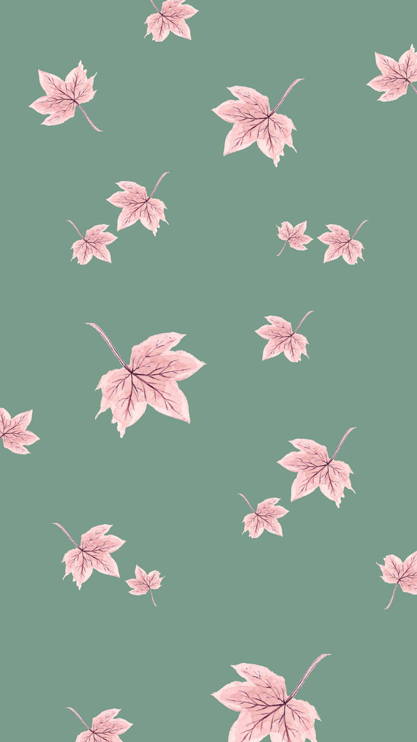 pink maple leaves, soft sage green background, delicate repeating pattern, HD Phone Wallpaper