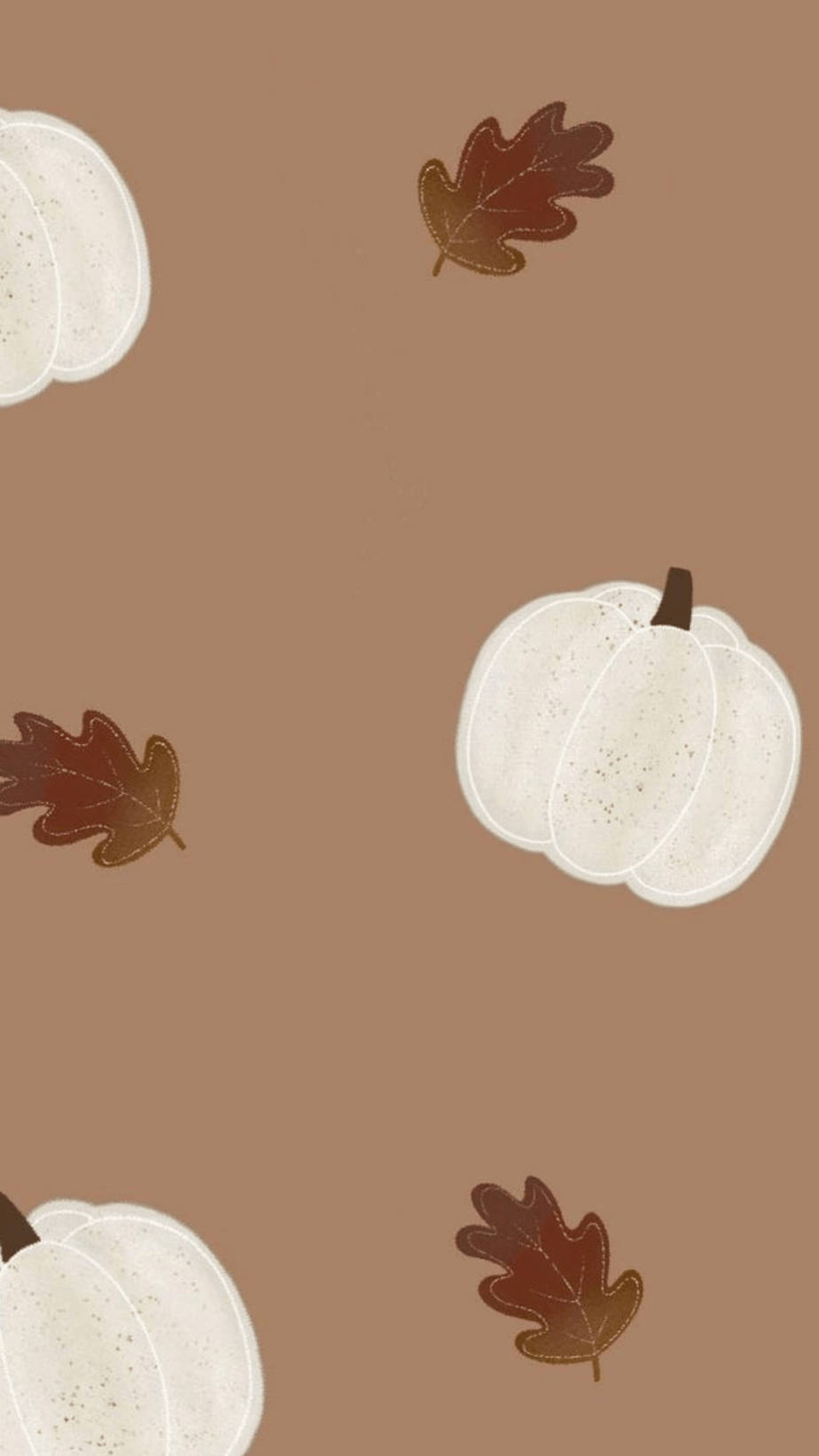 white speckled pumpkins, brown oak leaves, warm taupe background, HD Phone Wallpaper