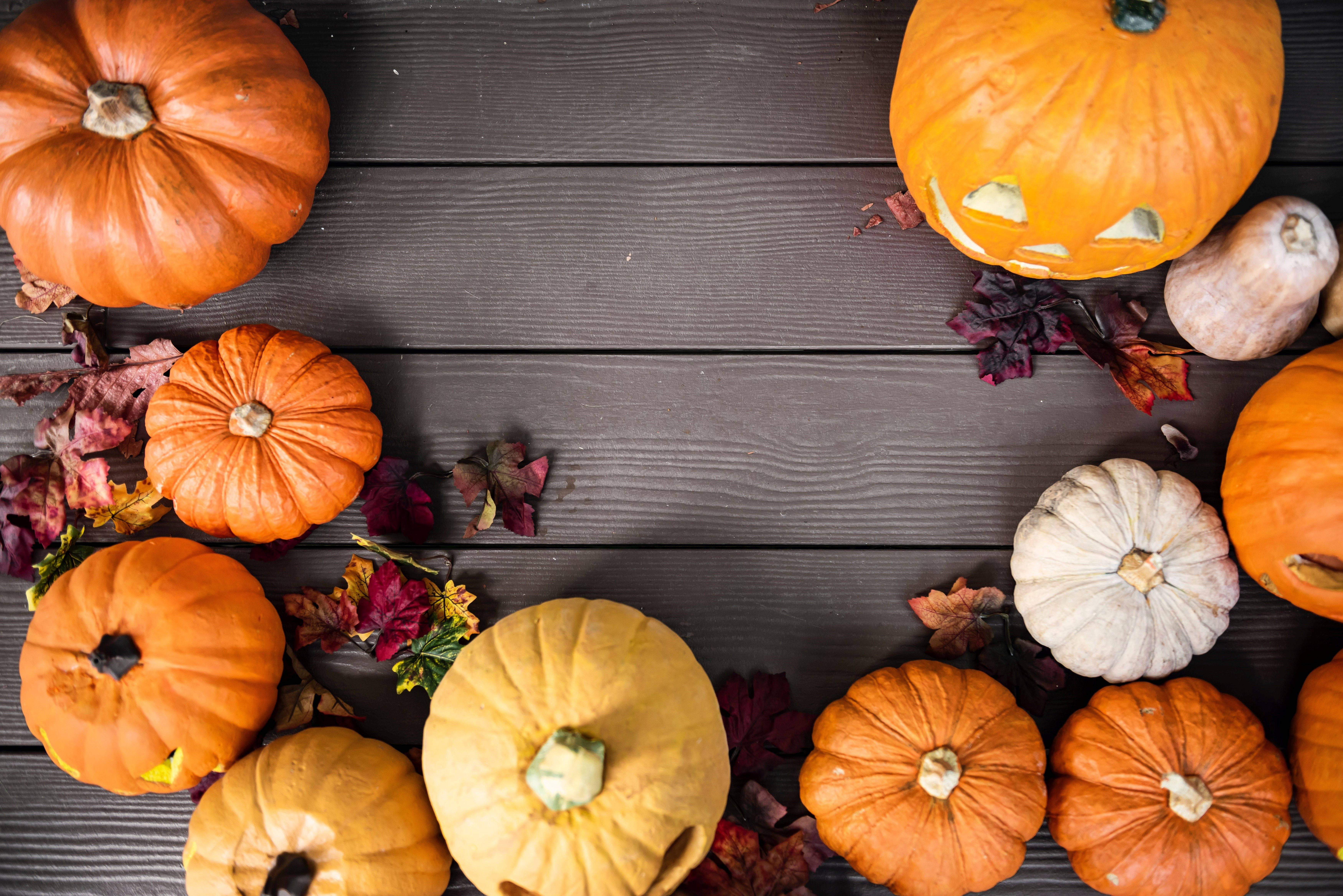 cute fall, flat lay, pumpkins, 5K Desktop Wallpaper
