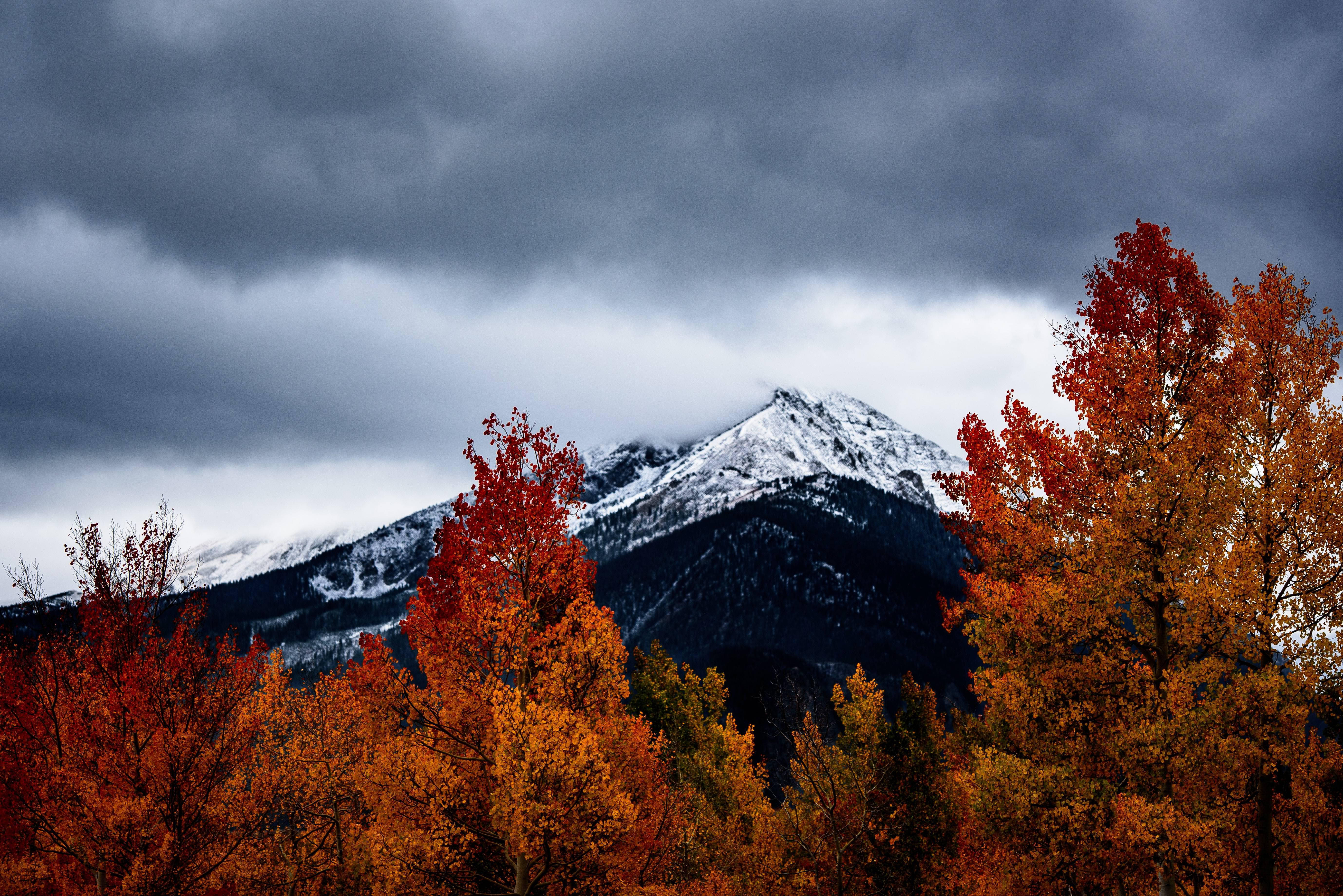 vibrant orange autumn trees, snow-capped mountain, dramatic gray storm sky, 5K Desktop Wallpaper