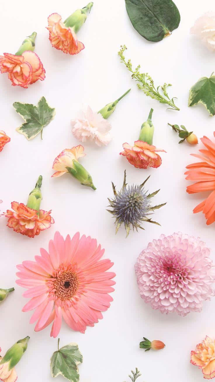 cute floral, vibrant pink, orange, HD Phone Wallpaper