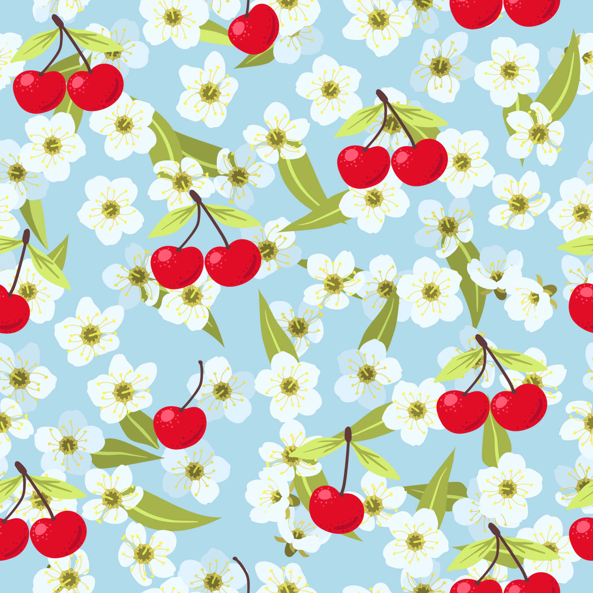 cute cherries, white hibiscus flowers, soft blue background, Full HD Desktop Wallpaper