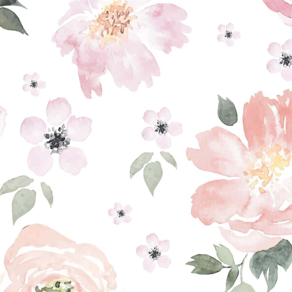 Pastel Pink, Cute Floral Painting, blush pink, SD Desktop Wallpaper
