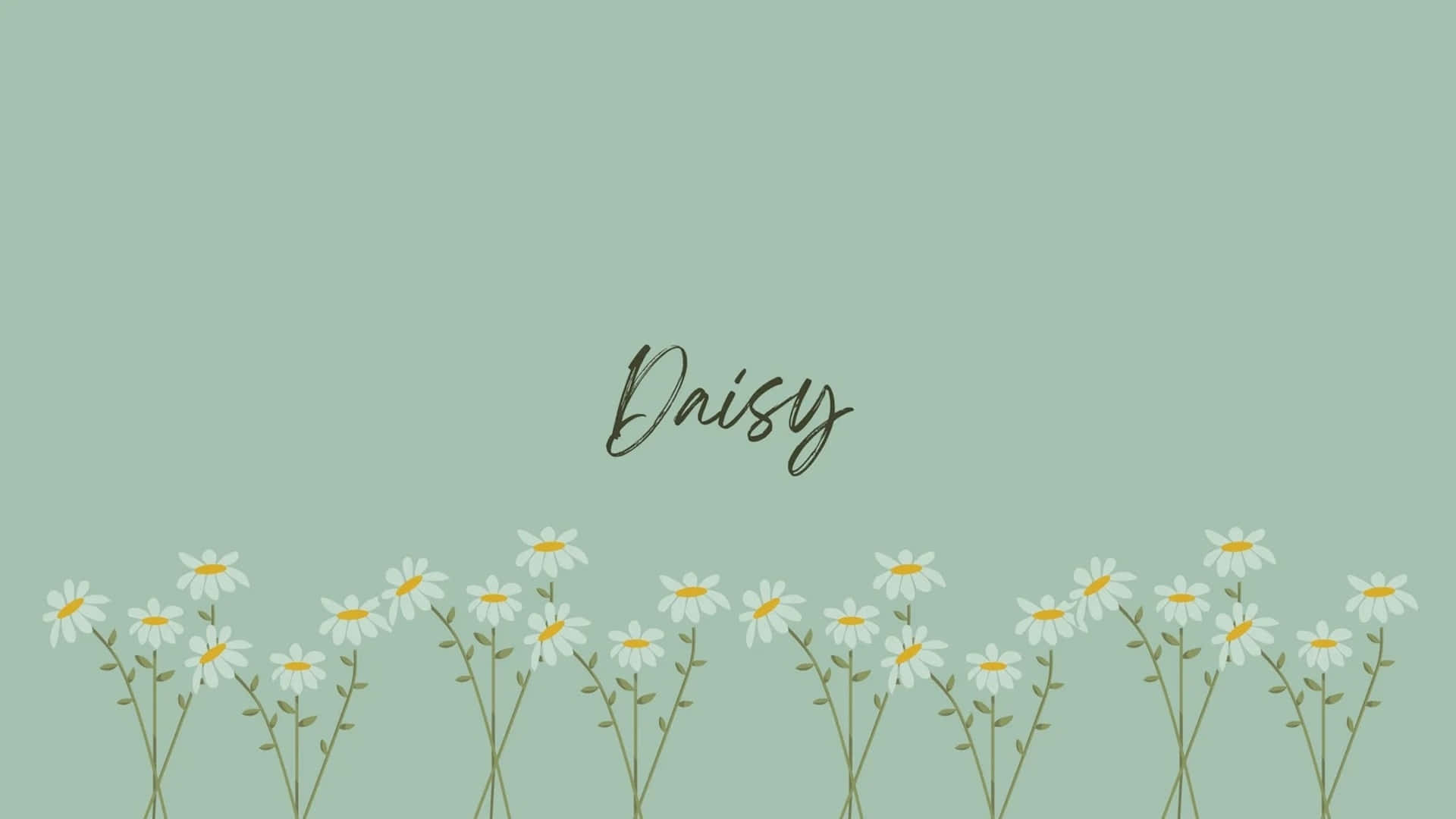 green daisy aesthetic background, white daisies, yellow centers, Full HD Desktop Wallpaper