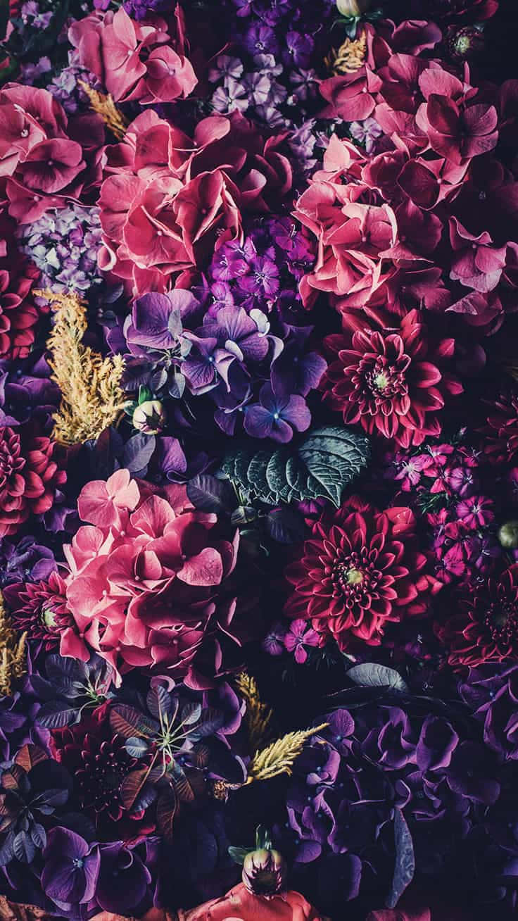 vibrant spring floral arrangement, pink, purple, HD Phone Wallpaper