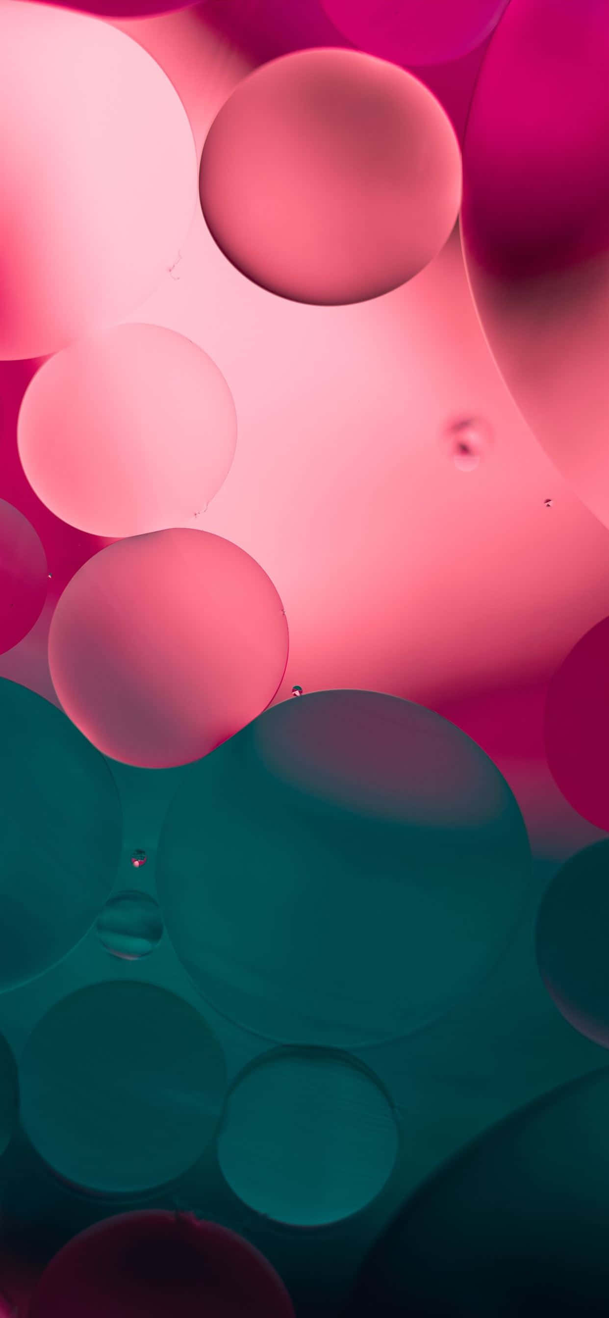 iPhone 1242 x 2688, vibrant pink, teal, 2K Phone Wallpaper