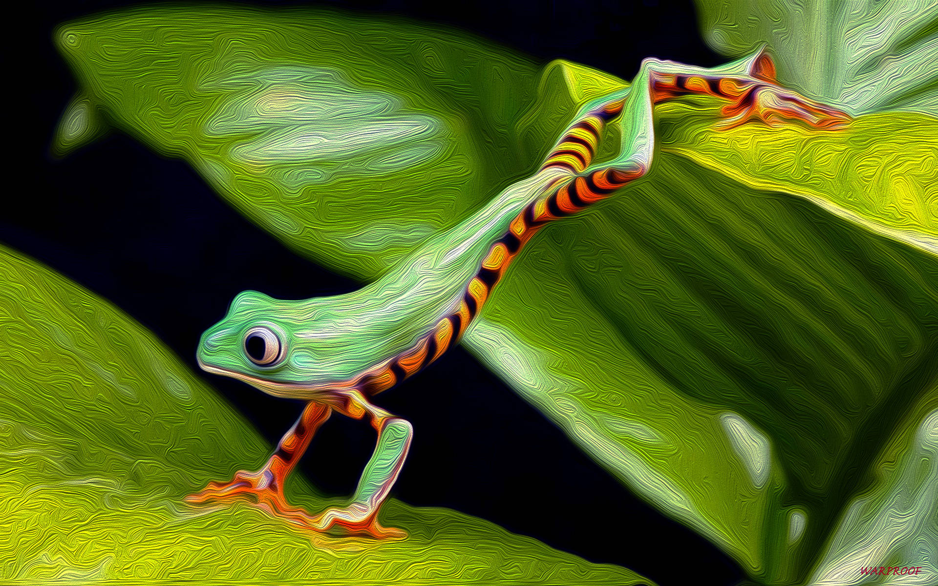 cute frog, stripped underbelly, orange stripes, Full HD Desktop Wallpaper