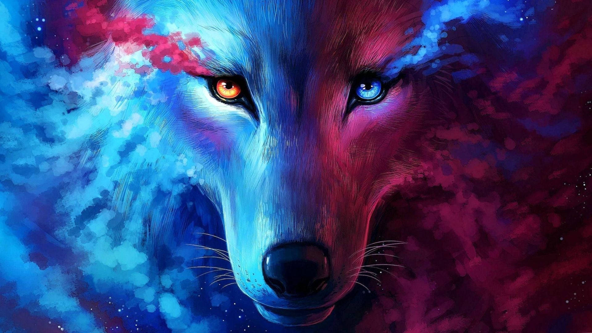wolf, amber eye, blue eye, Full HD Desktop Wallpaper