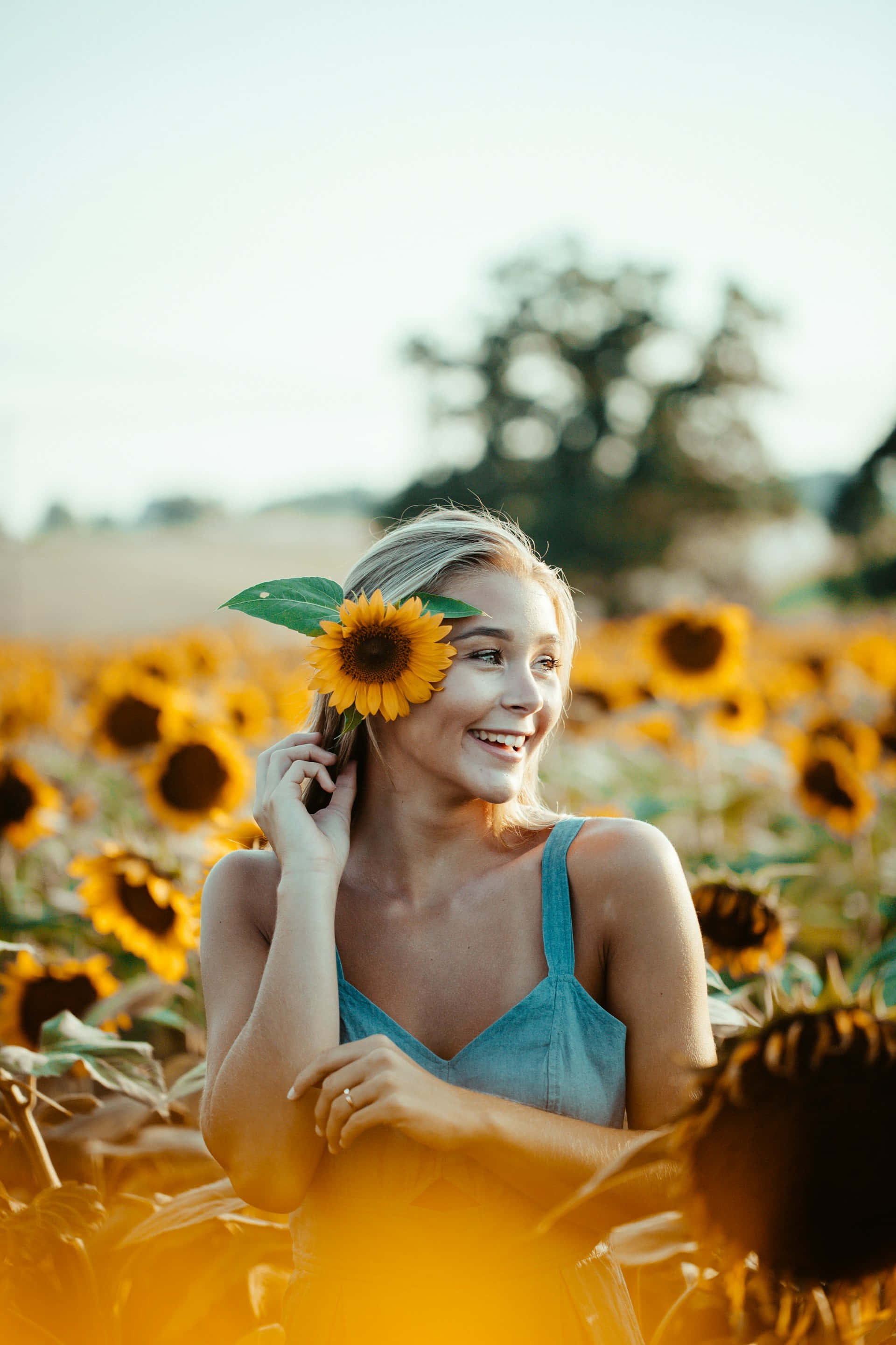 sunflower field, young woman, sunflower tucked behind her ear, 2K Phone Wallpaper