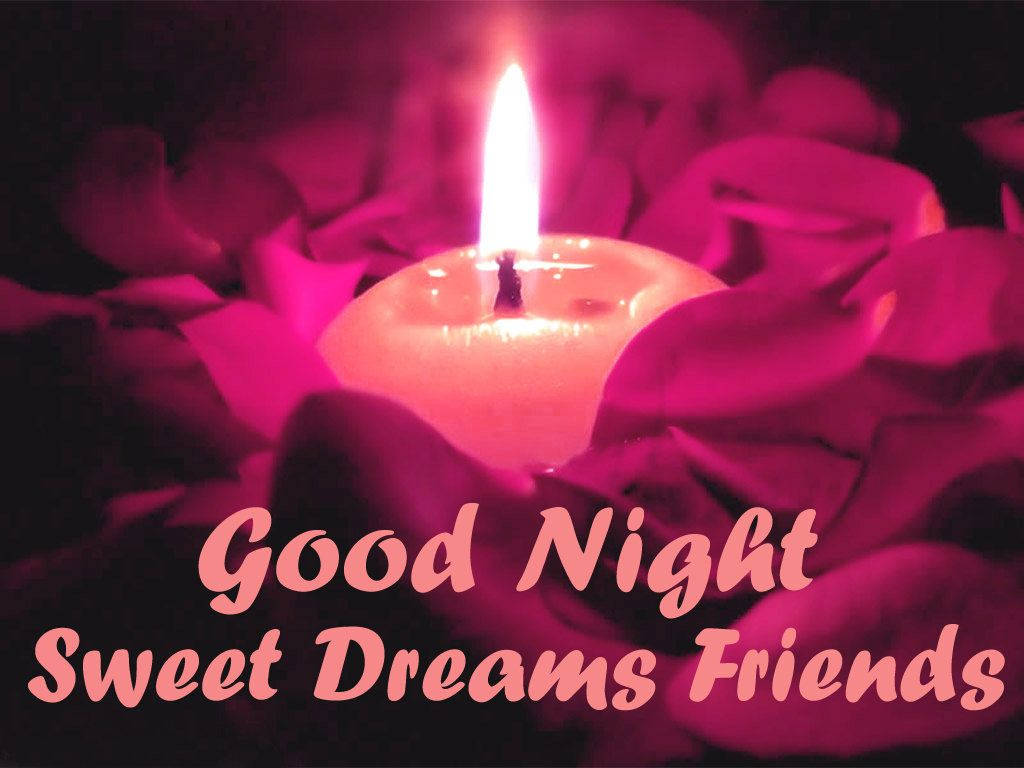 candlelit good night wishes, Good Night Sweet Dreams Friends, pink rose petals, SD Desktop Wallpaper