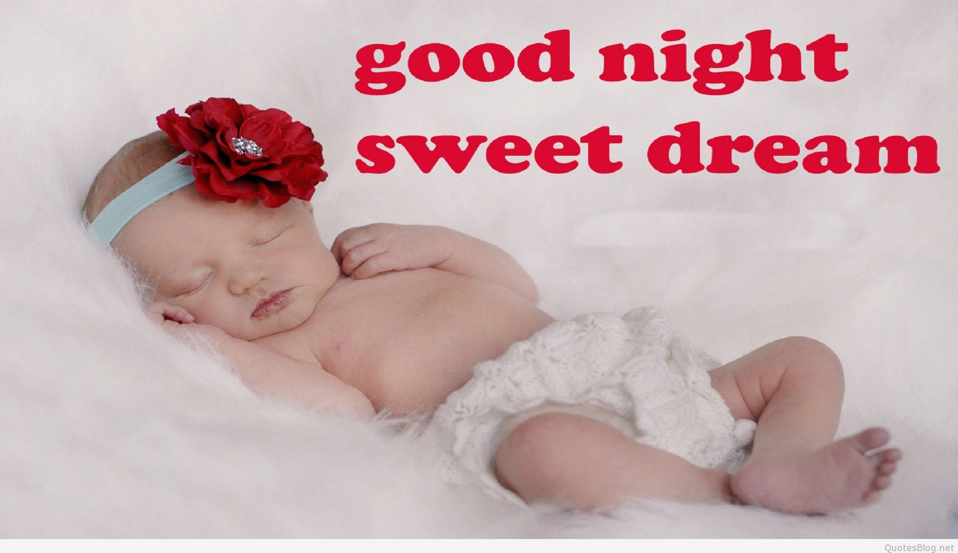 newborn baby, fluffy white blanket, red floral headband, Full HD Desktop Wallpaper