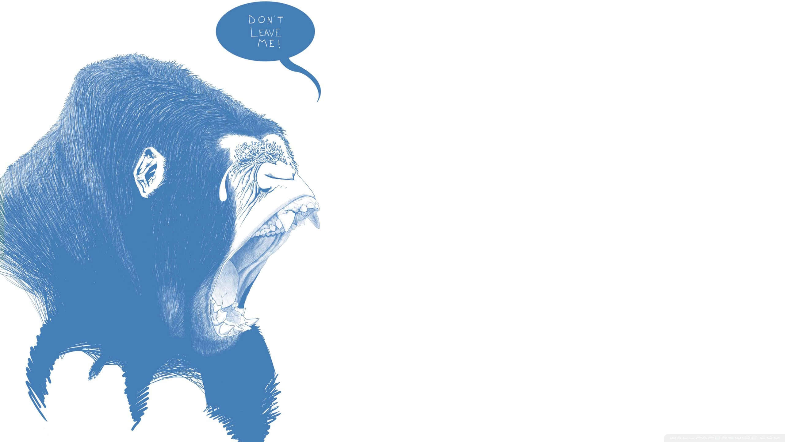 Cute Gorilla, blue illustrated gorilla, tear, 2K Desktop Wallpaper