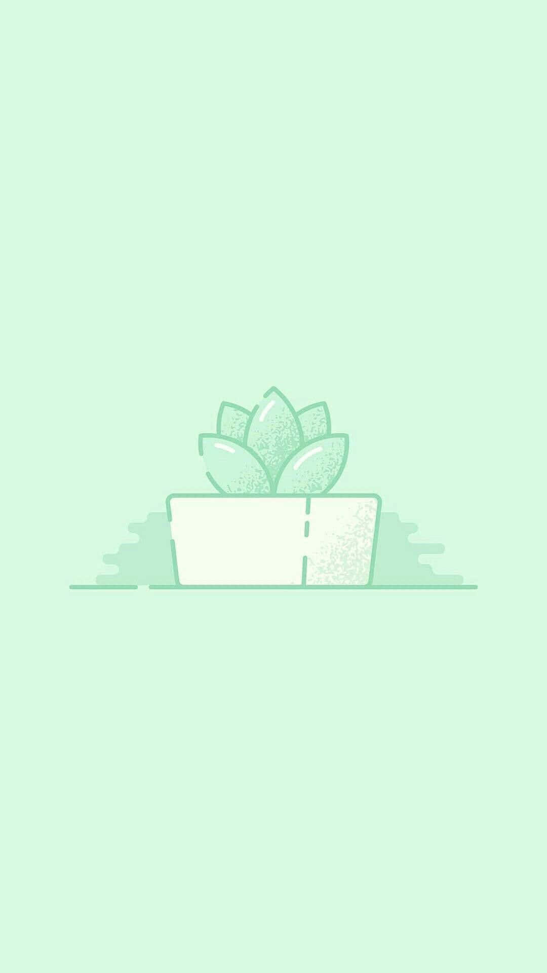 green succulent plant, white pot, soft mint green background, Full HD Phone Wallpaper