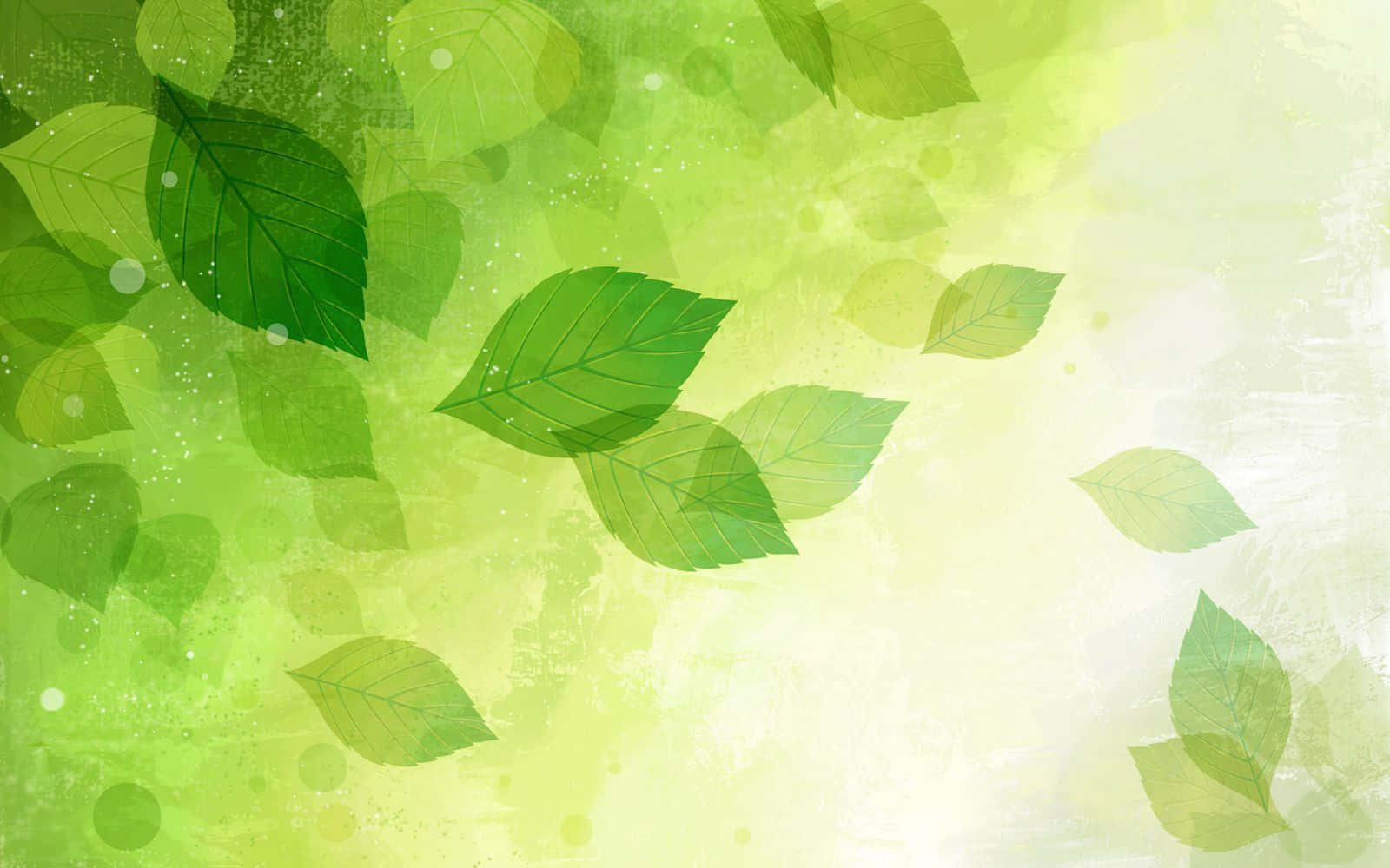 Cute Green, vibrant green leaves, soft gradient background, HD Desktop Wallpaper
