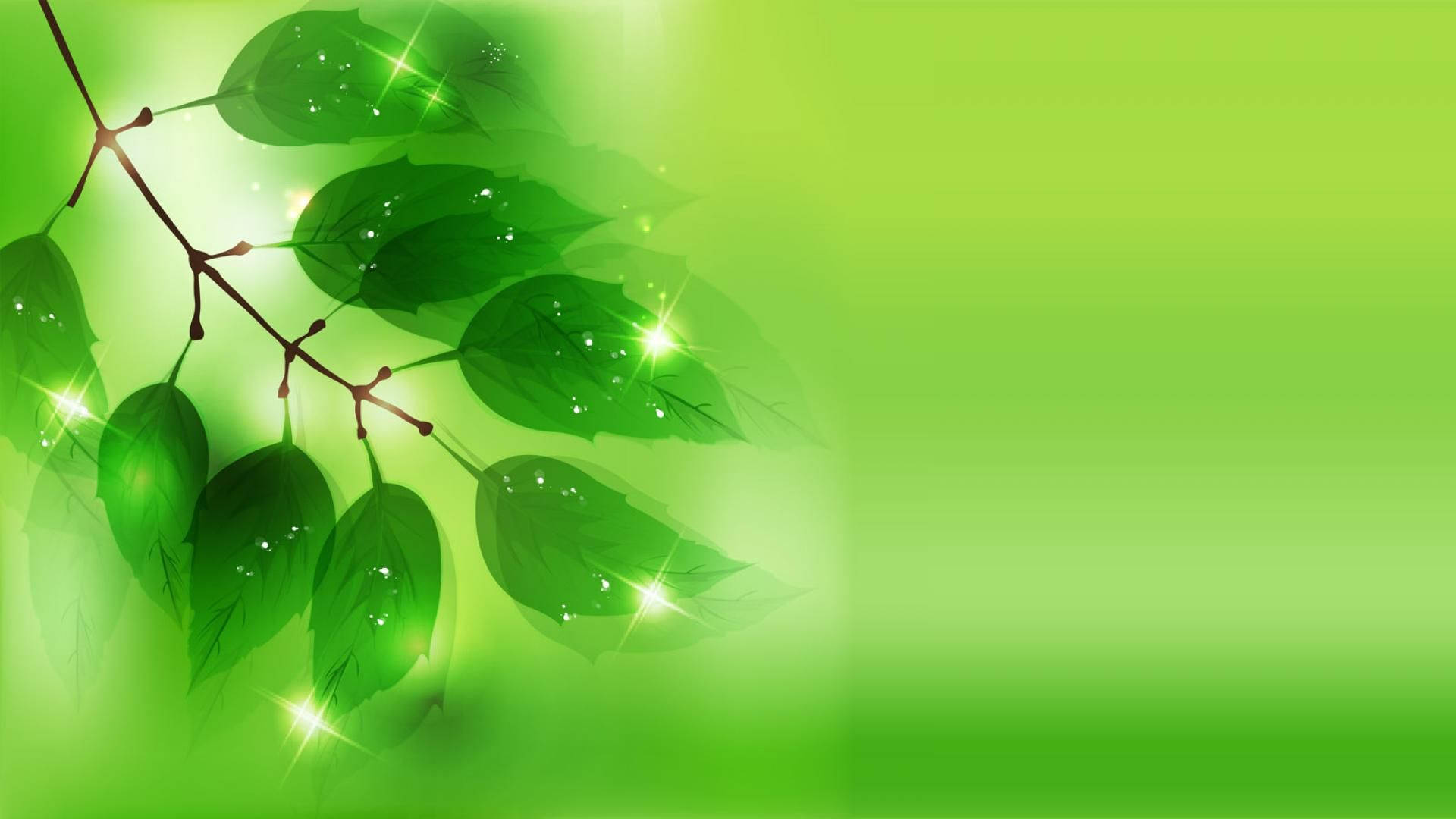 sparkling green leaves, vibrant green, sparkling highlights, Full HD Desktop Wallpaper