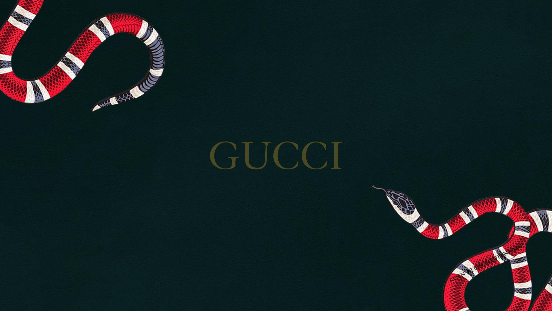 Gucci, snake, red white and black patterned snakes, Full HD Desktop Wallpaper