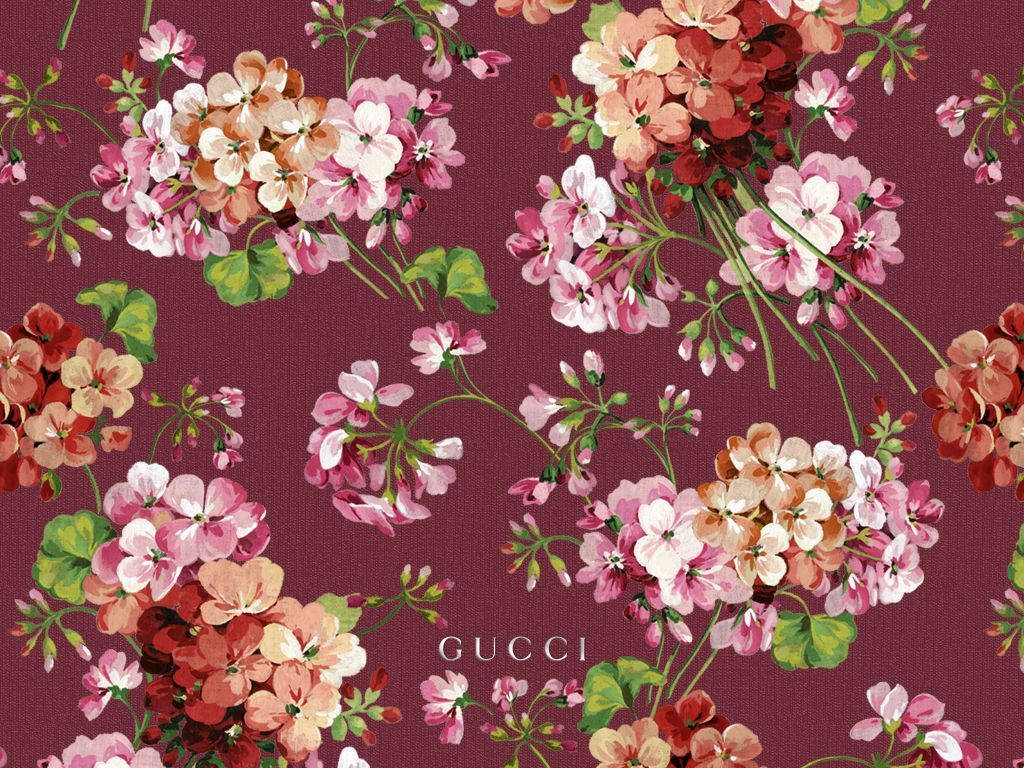 Gucci, floral pattern design, burgundy, SD Desktop Wallpaper