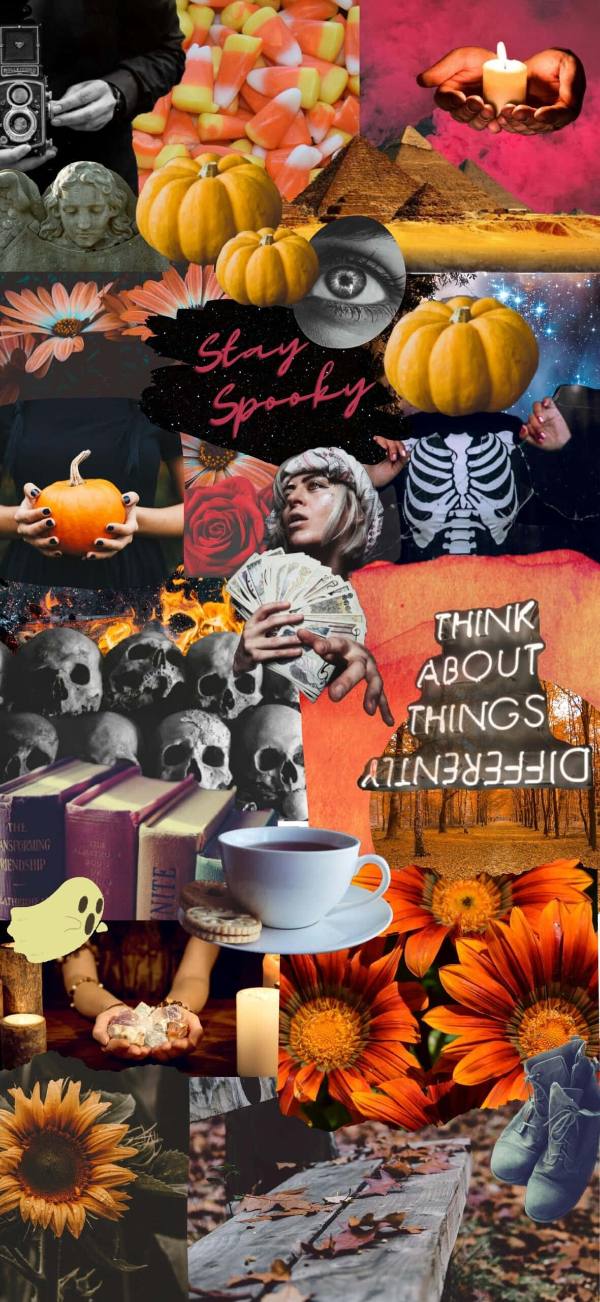 Halloween Collage Aesthetic, pumpkins, skulls, 2K Phone Wallpaper
