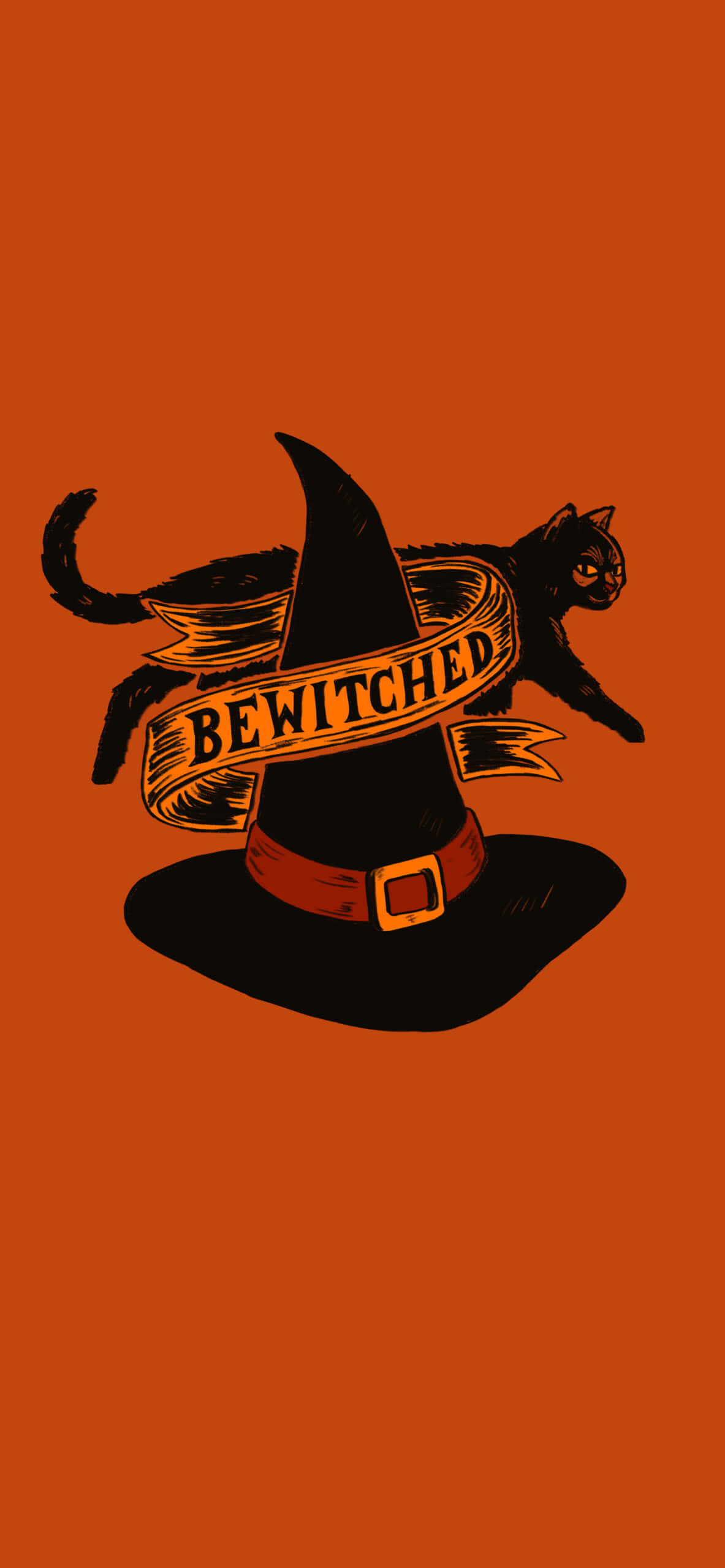 black cat, witch's hat, wizard hat, 2K Phone Wallpaper