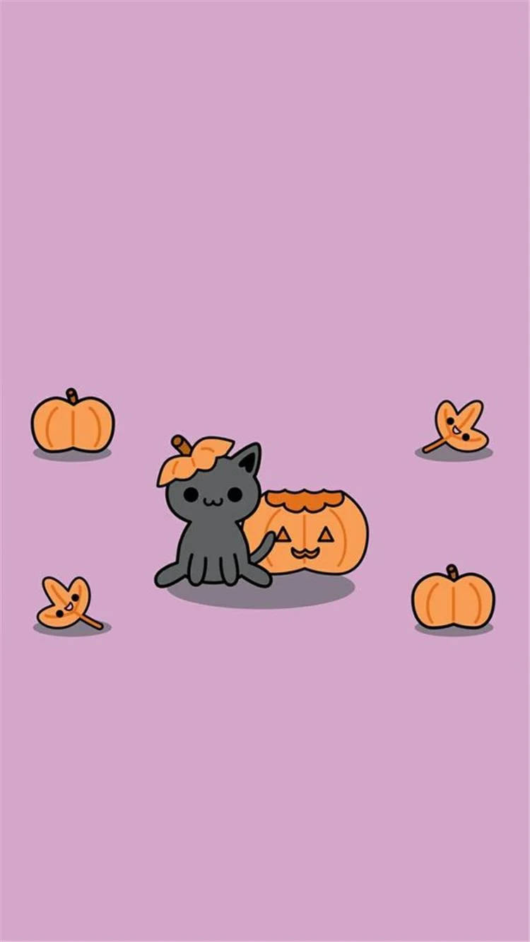 black cat, pumpkin hat, jack-o-lantern, HD Phone Wallpaper
