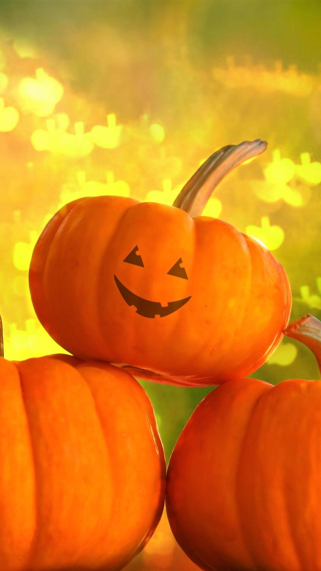 jack-o'-lantern, pumpkins, golden bokeh background, Full HD Phone Wallpaper