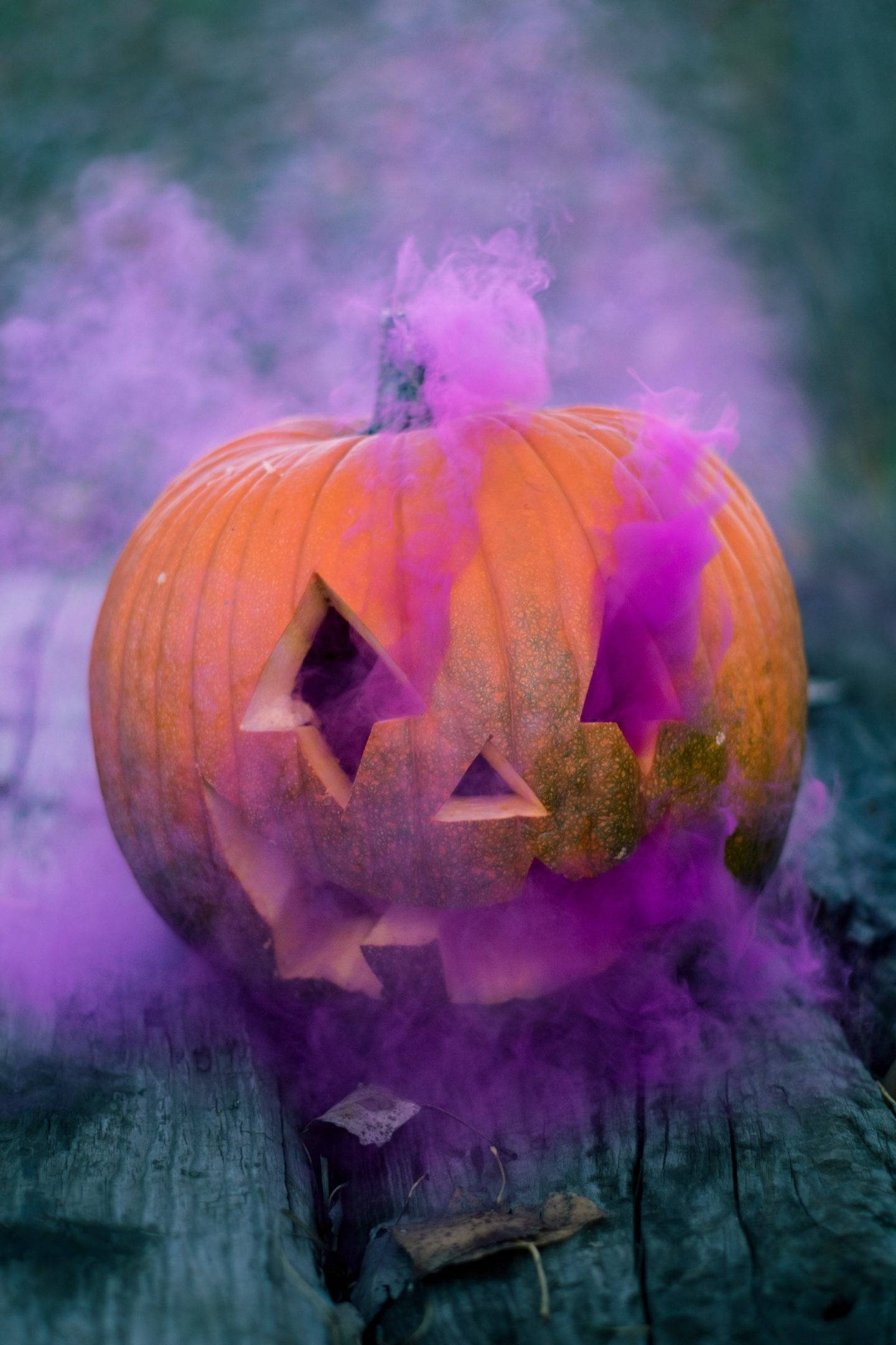 cute halloween phone, pumpkin, triangular eyes, Full HD Phone Wallpaper