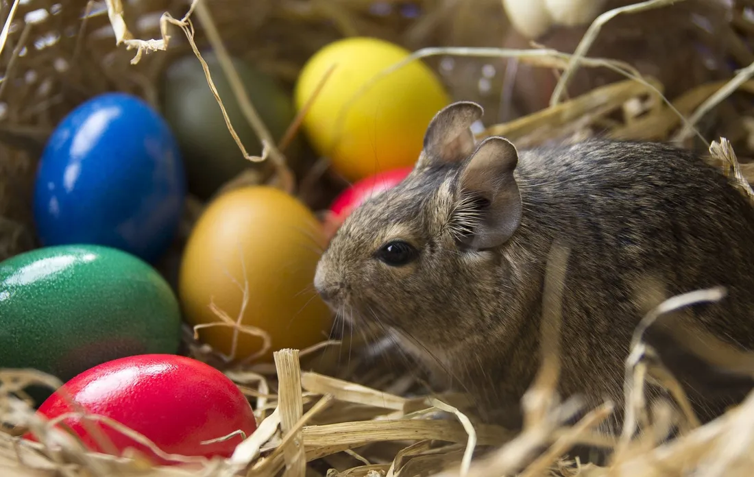 Cute Happy Easter