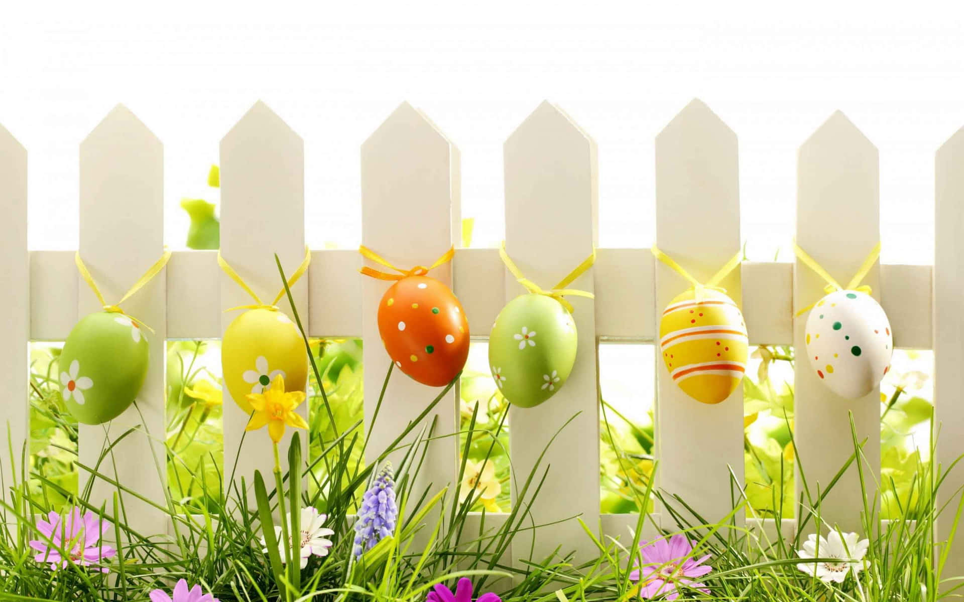 Cute Happy Easter, Easter eggs, white picket fence, Full HD Desktop Wallpaper