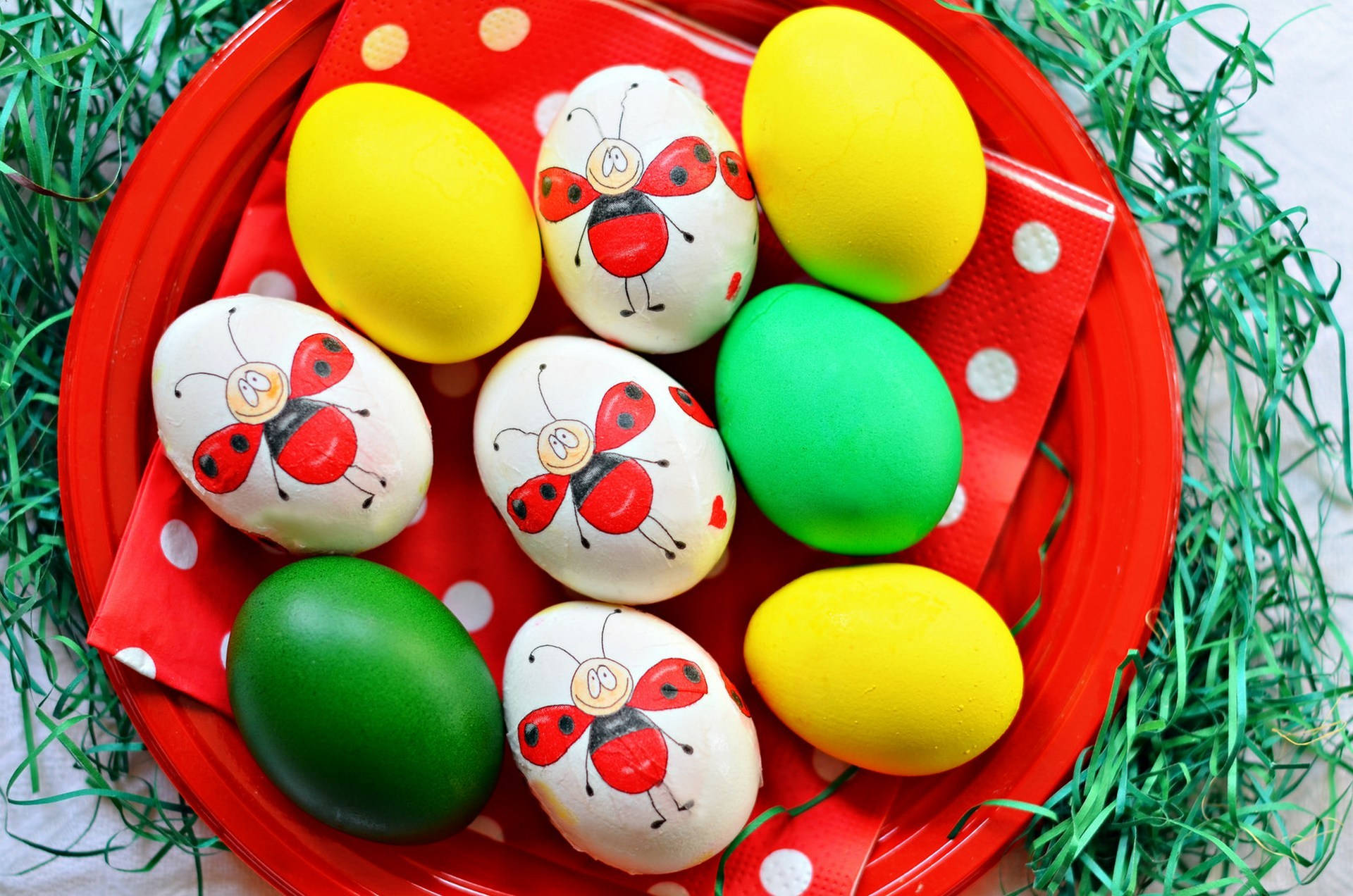 red plate, painted ladybug eggs, solid yellow eggs, Full HD Desktop Wallpaper