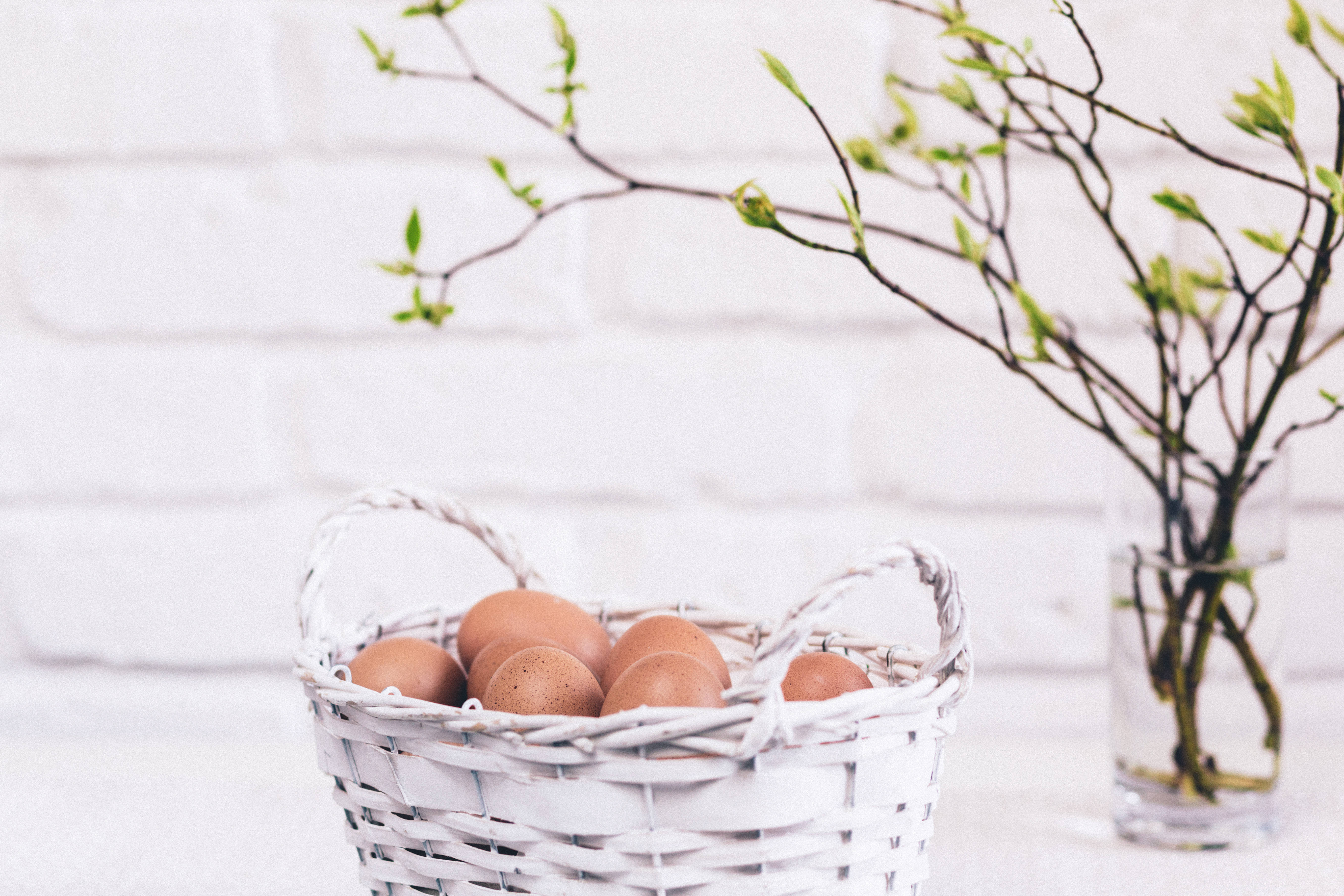 brown eggs, white woven basket, colorful basket, 5K Desktop Wallpaper