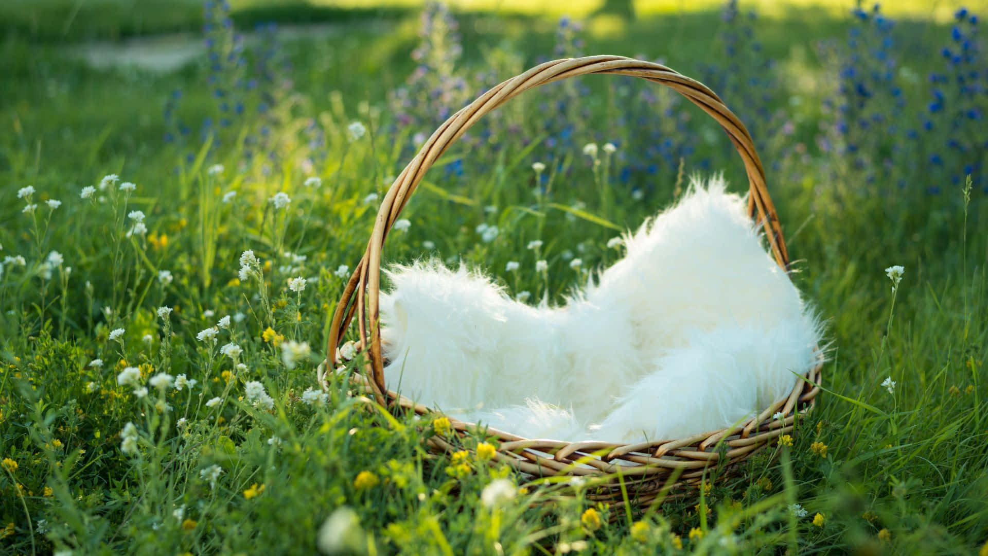 Easter basket, woven basket, fluffy white fur, Full HD Desktop Wallpaper