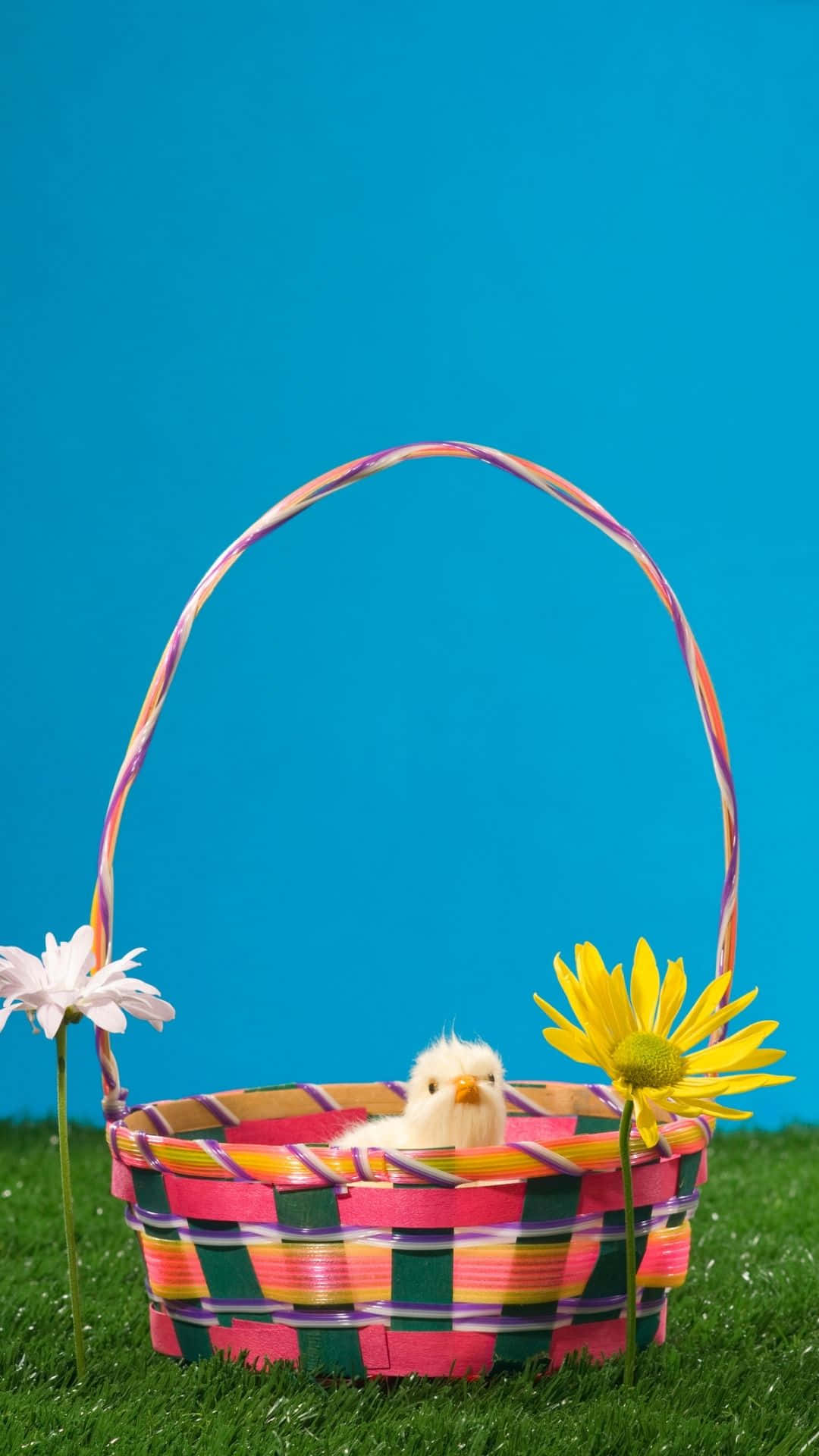 fluffy yellow chick, colorful woven basket, green grass, Full HD Phone Wallpaper