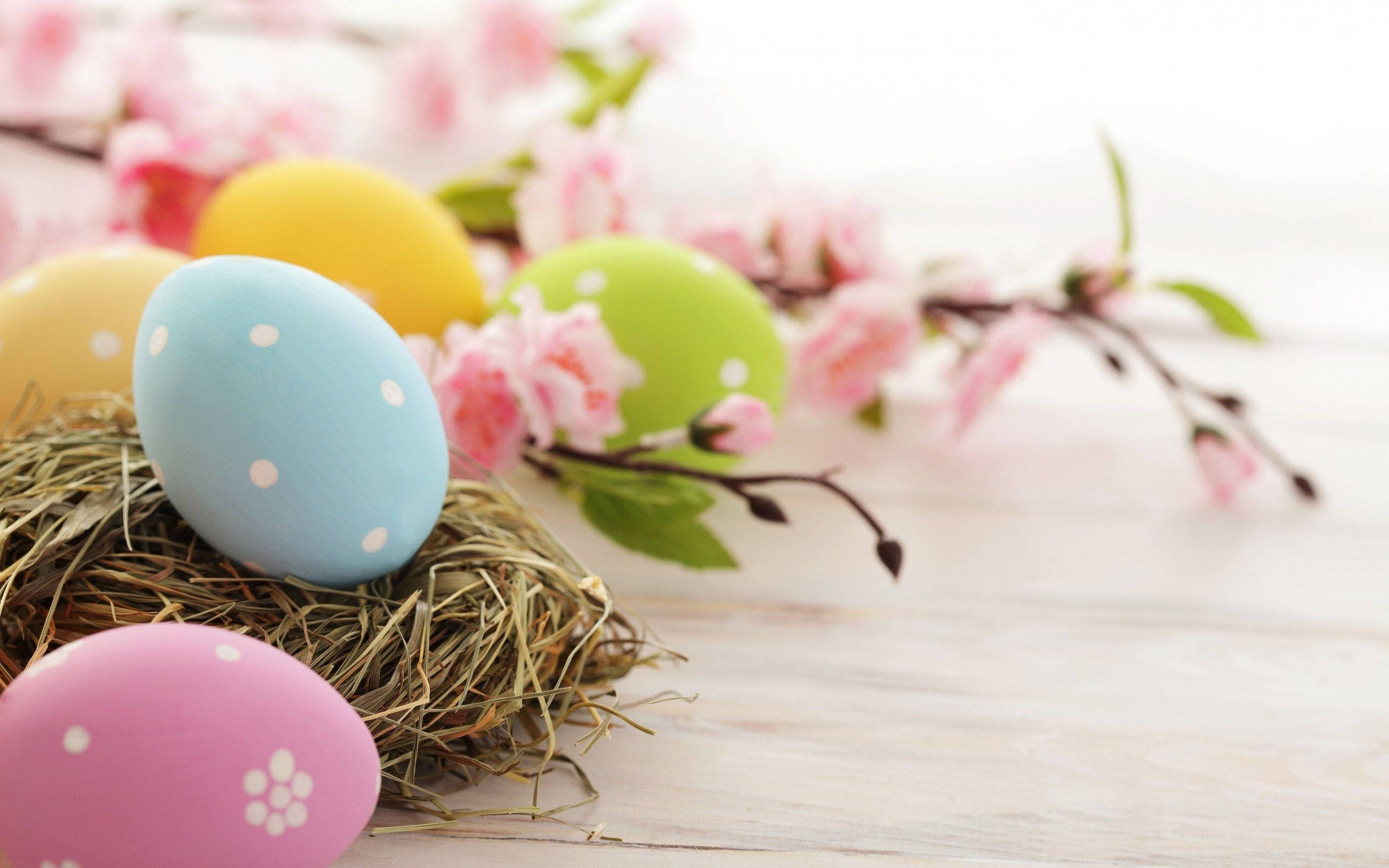polka-dotted Easter eggs, straw nest, pink cherry blossoms, 2K Desktop Wallpaper