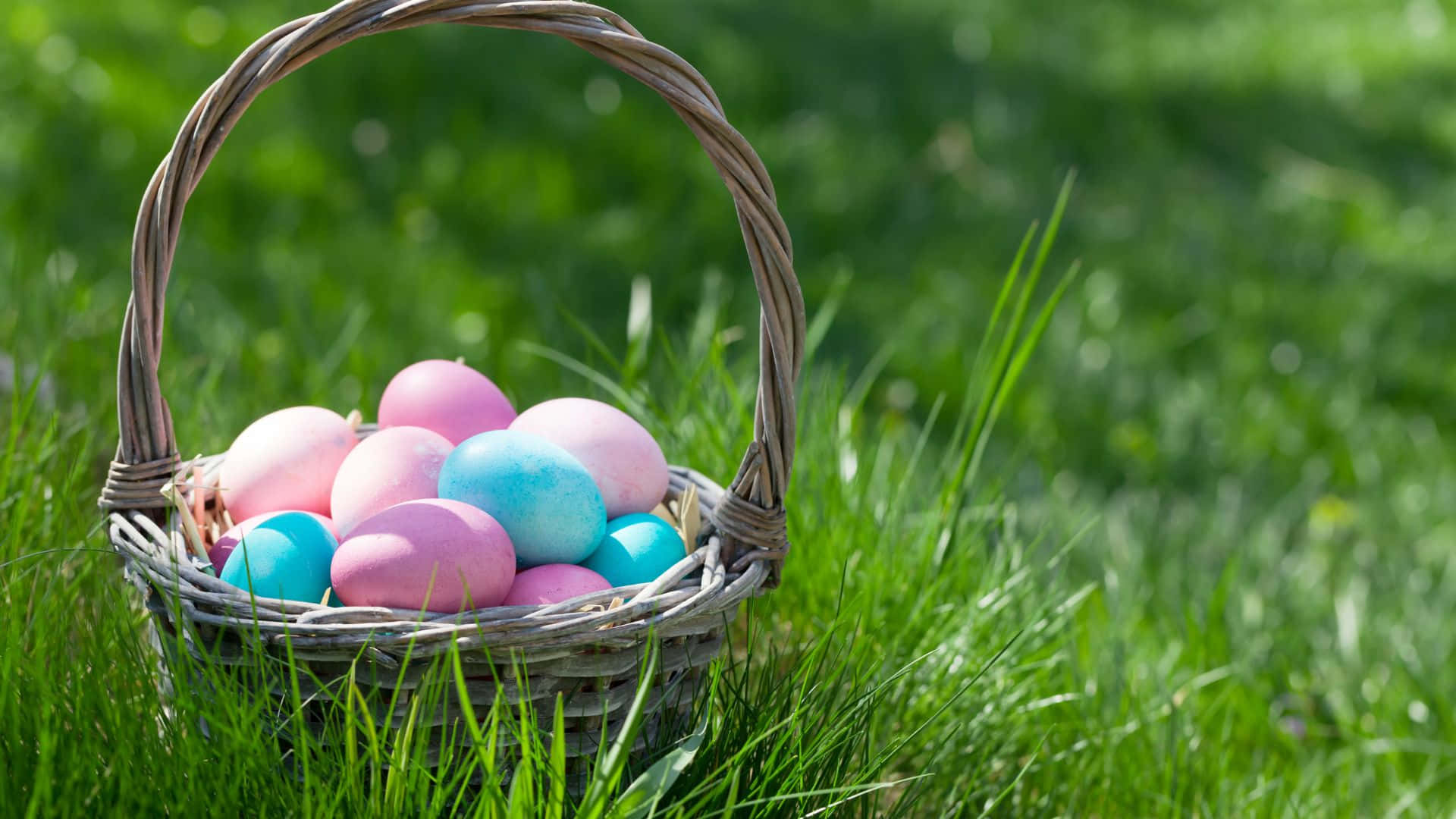 Easter basket, pastel pink, pastel blue, Full HD Desktop Wallpaper