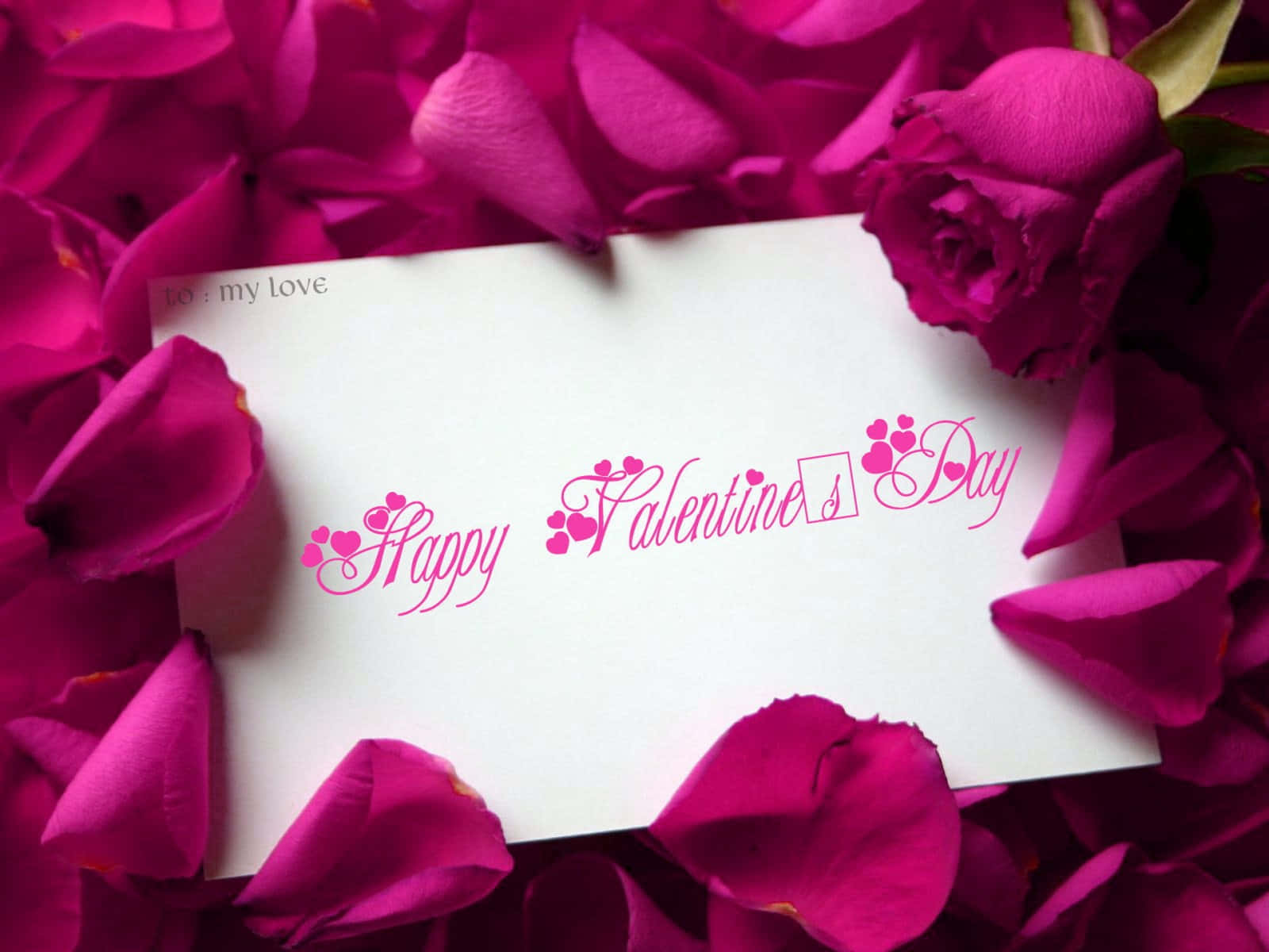 Cute Happy Valentine Day Card, white Valentine's card, pink cursive text, HD Desktop Wallpaper
