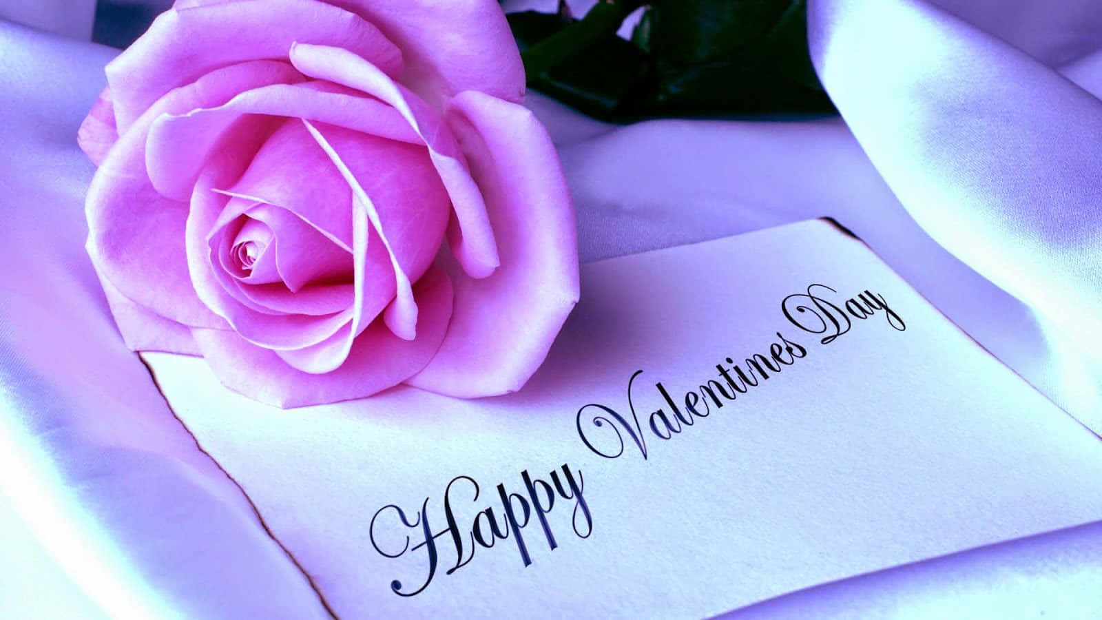 soft pink rose, handwritten Valentine's Day card, silky lavender fabric, HD Desktop Wallpaper