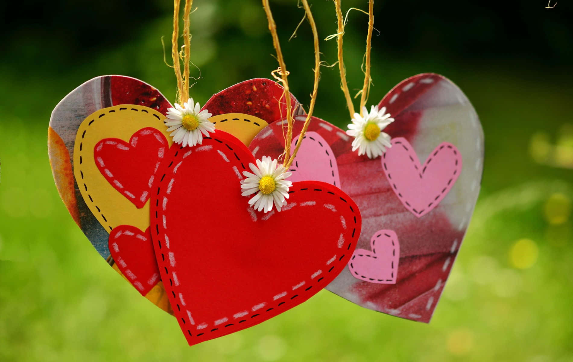 cute hearts, handmade hearts, daisies, HD Desktop Wallpaper