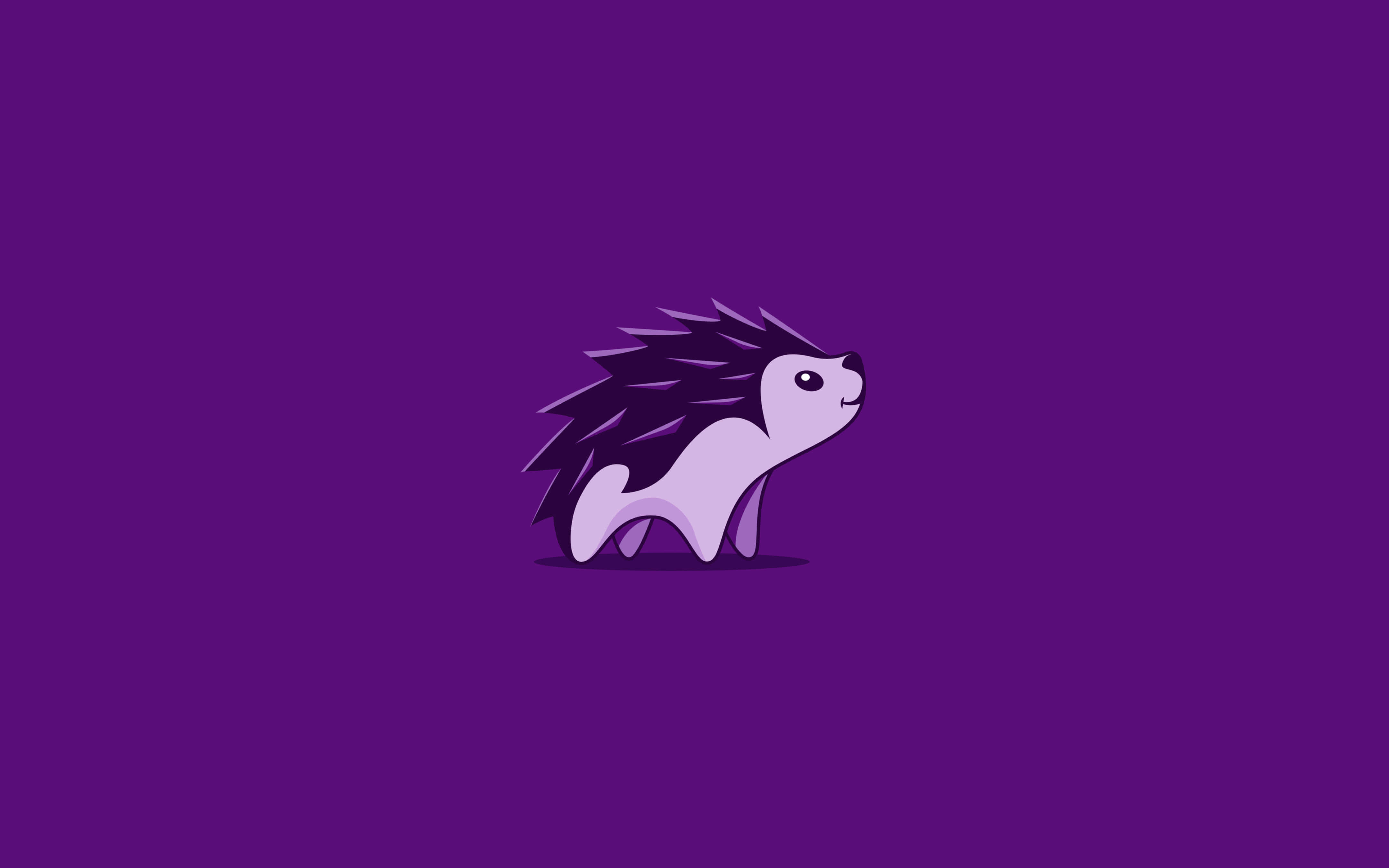 cute hedgehog, purple, deep purple background, 4K Desktop Wallpaper