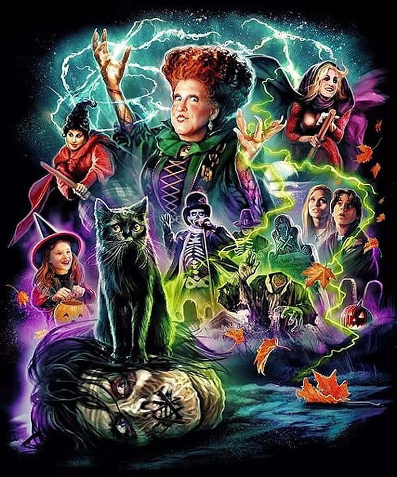 Cute Hocus Pocus, witch, cat, SD Phone Wallpaper