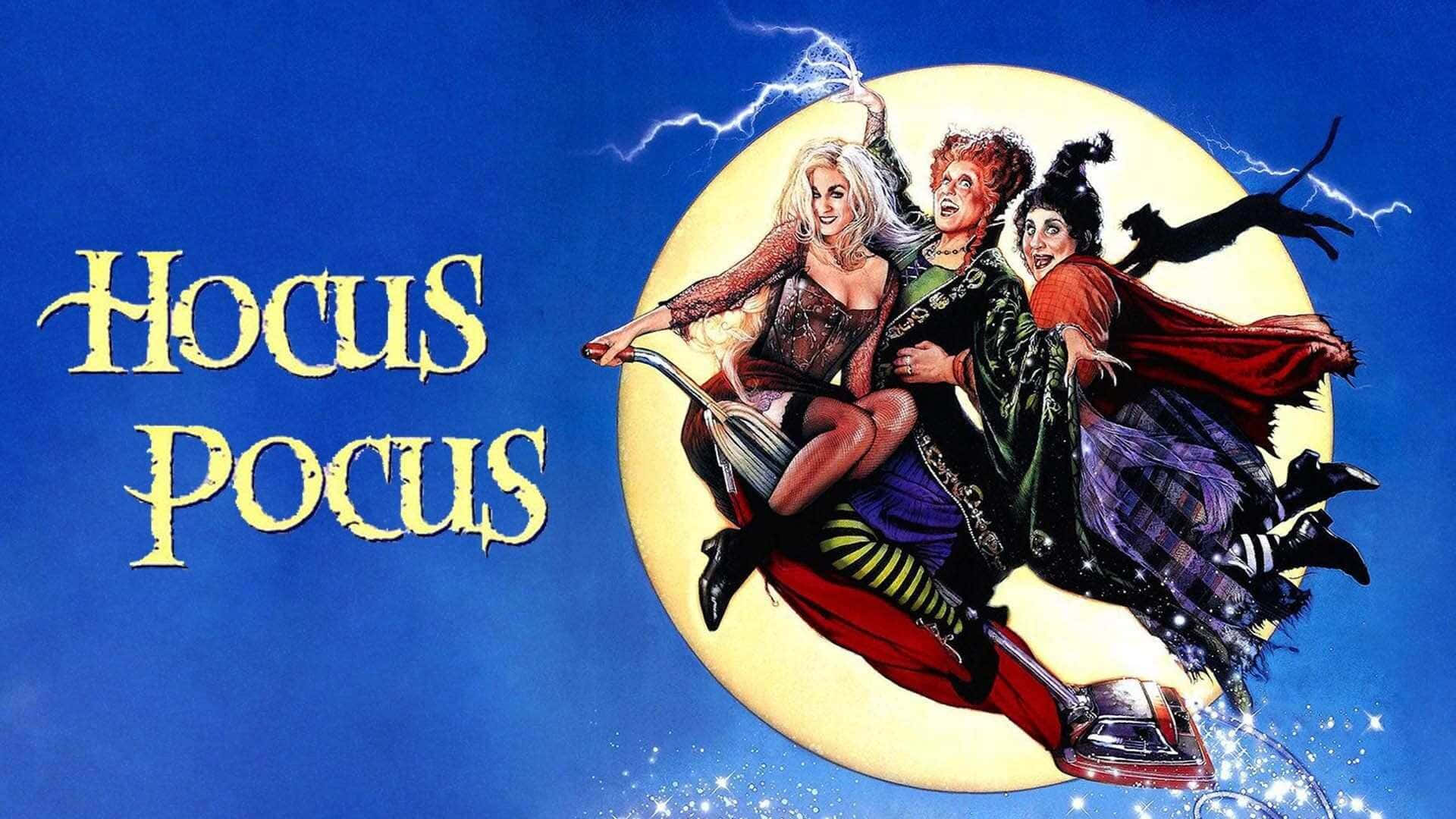 Cute Hocus Pocus, flying broom, three witches, Full HD Desktop Wallpaper