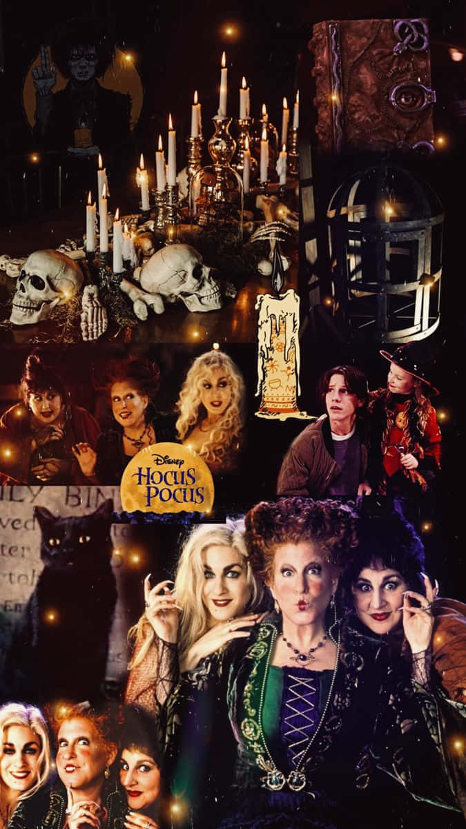 Hocus Pocus, witches, skulls, SD Phone Wallpaper