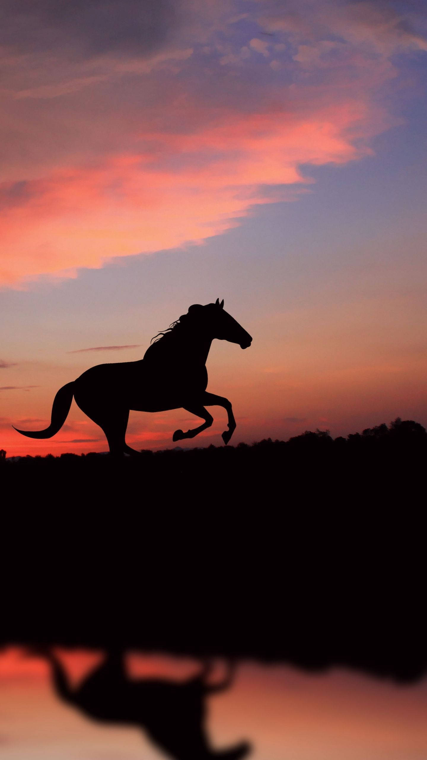 cute horse, river, sunset, 2K Phone Wallpaper