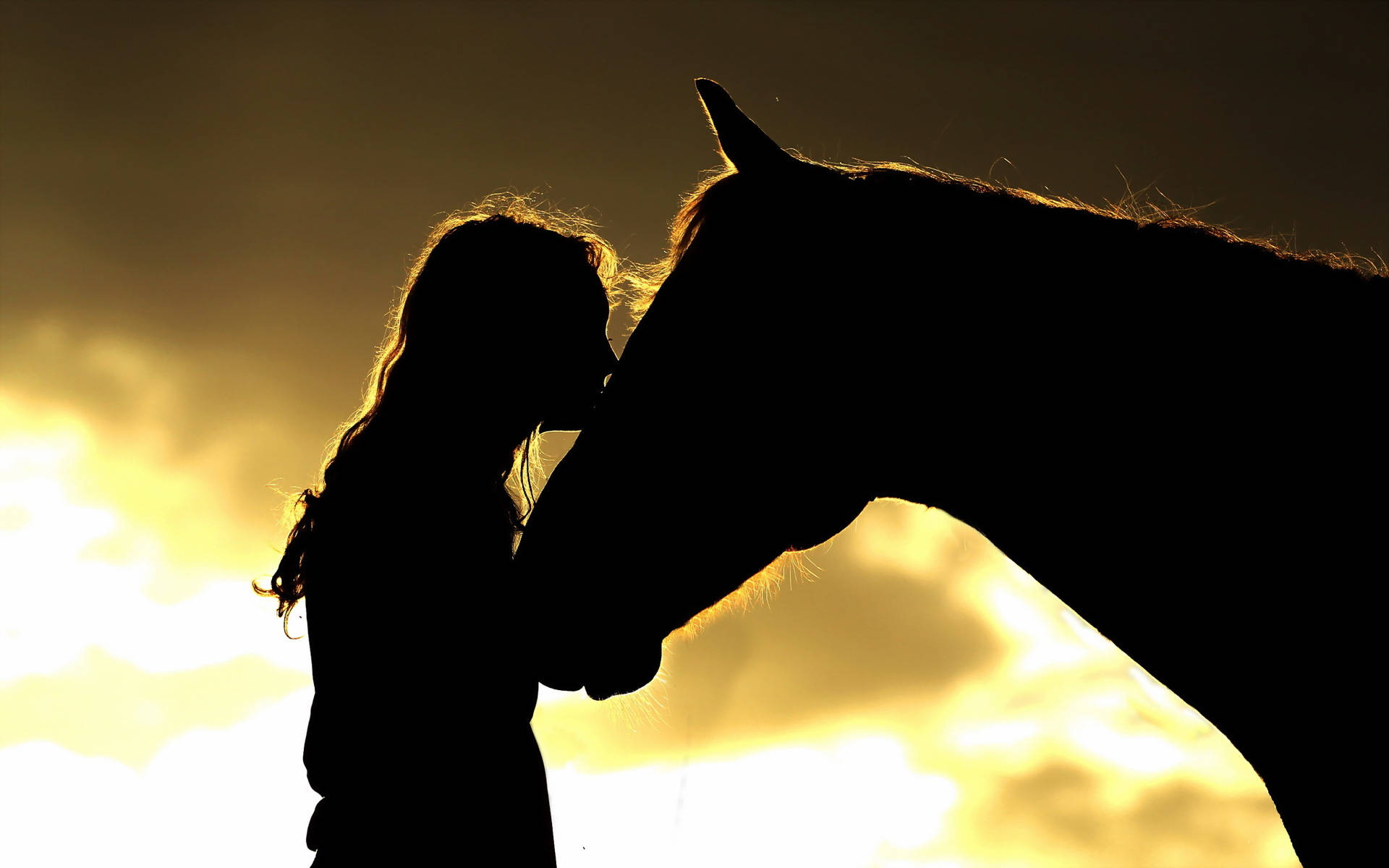 cute horse, lady silhouette, golden sunset sky, Full HD Desktop Wallpaper