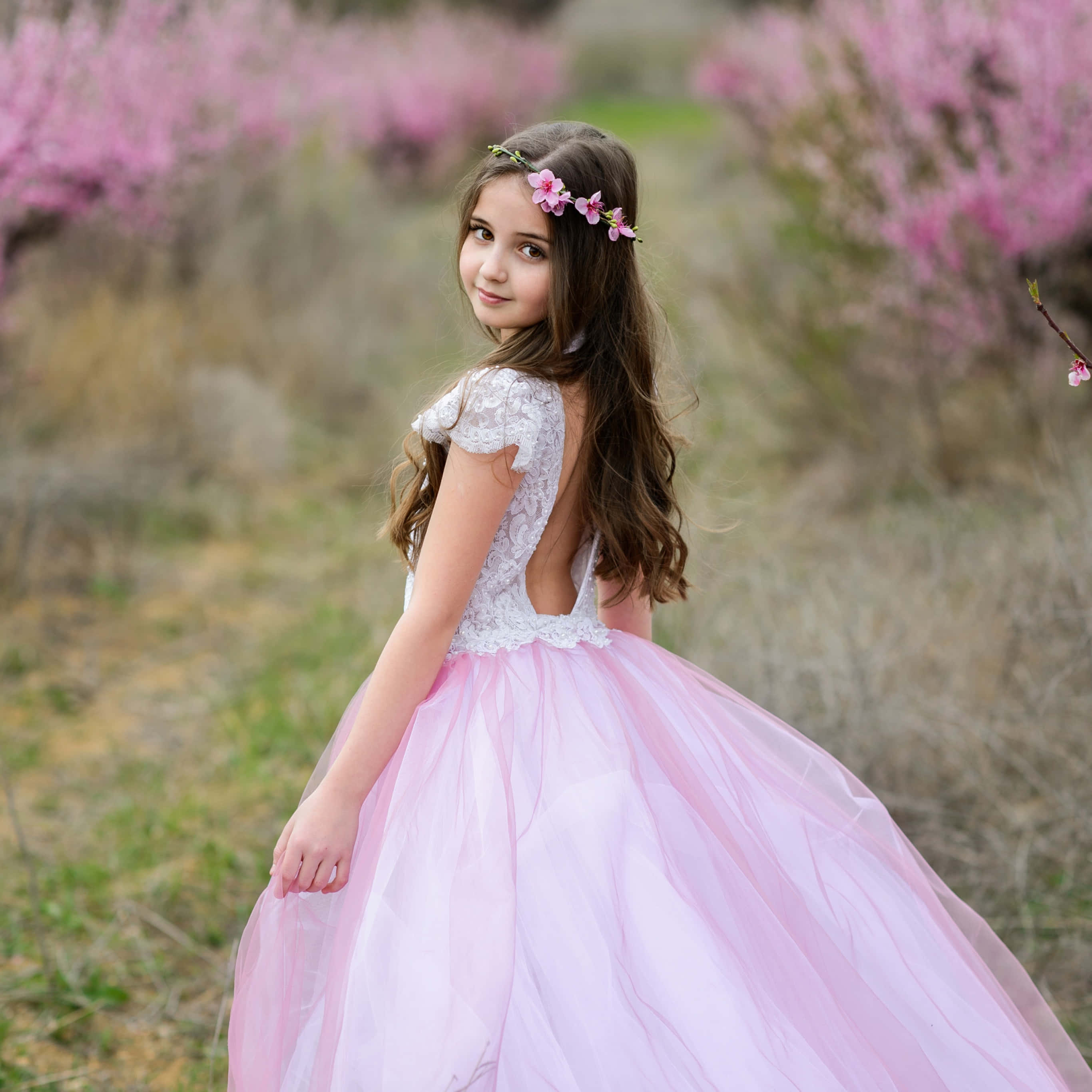 pink tulle dress, floral crown, pink cherry trees, 2K Desktop Wallpaper