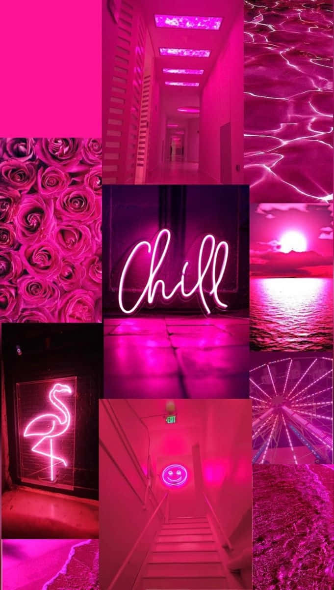 hot pink aesthetic, neon signs, roses, SD Phone Wallpaper