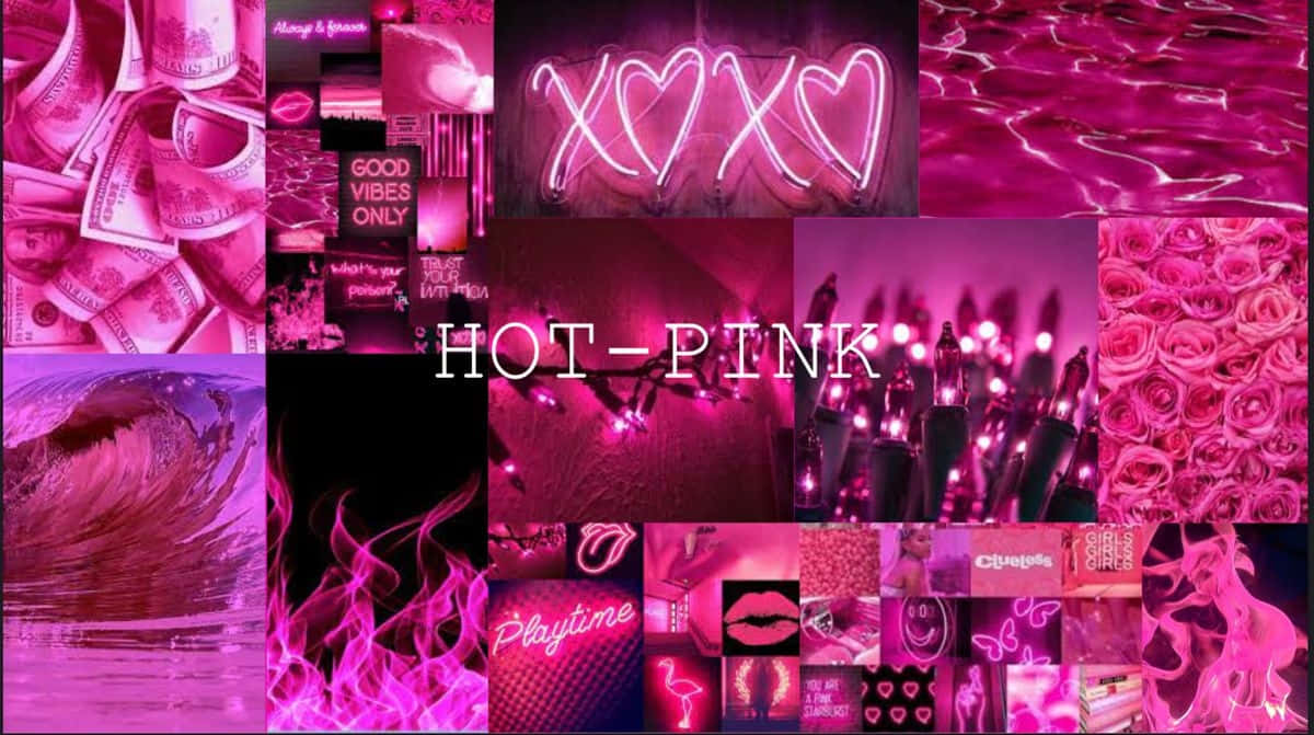 hot pink aesthetic, neon signs, roses, SD Desktop Wallpaper