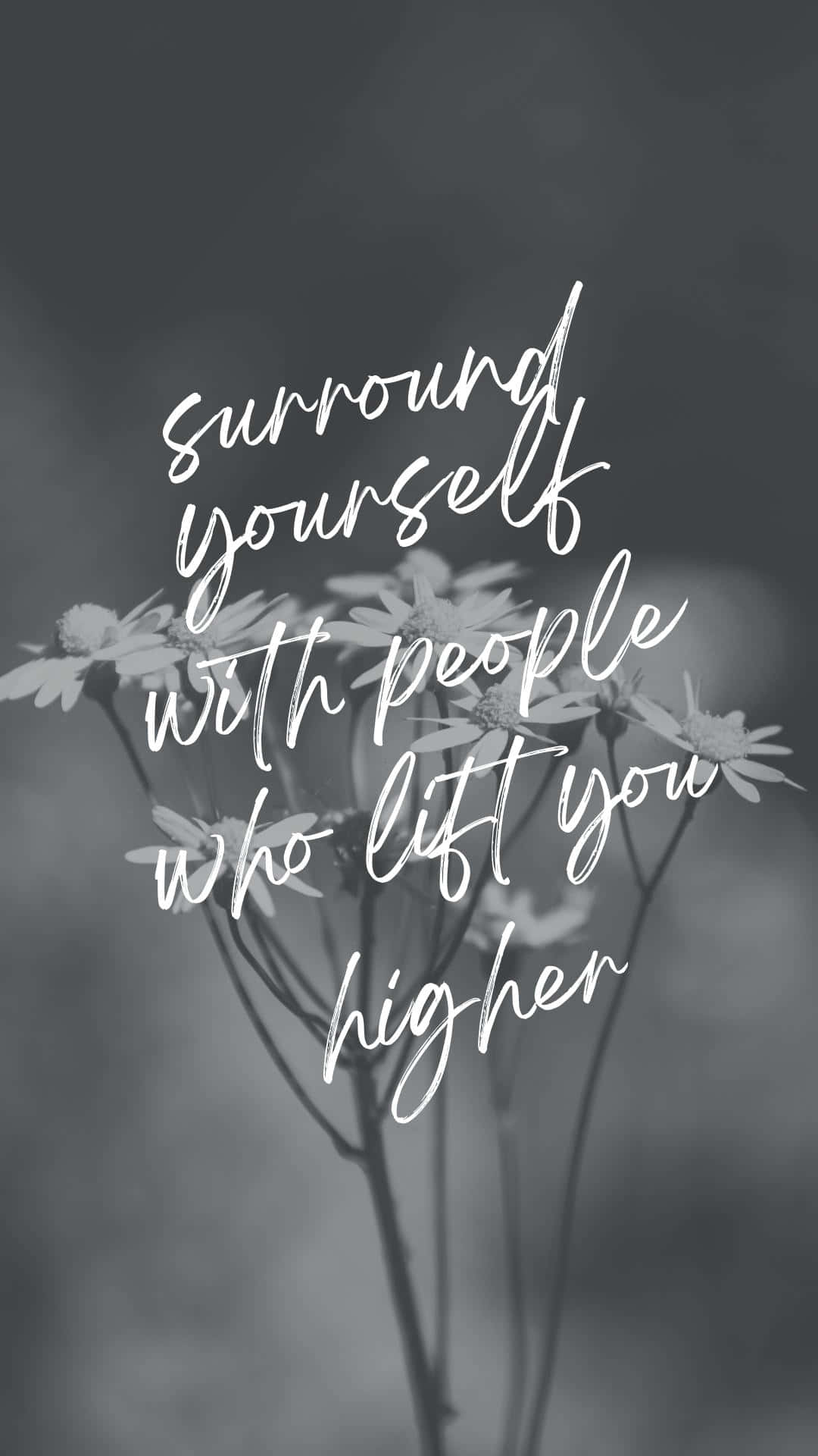 white daisies, elegant cursive text, uplifting people, Full HD Phone Wallpaper